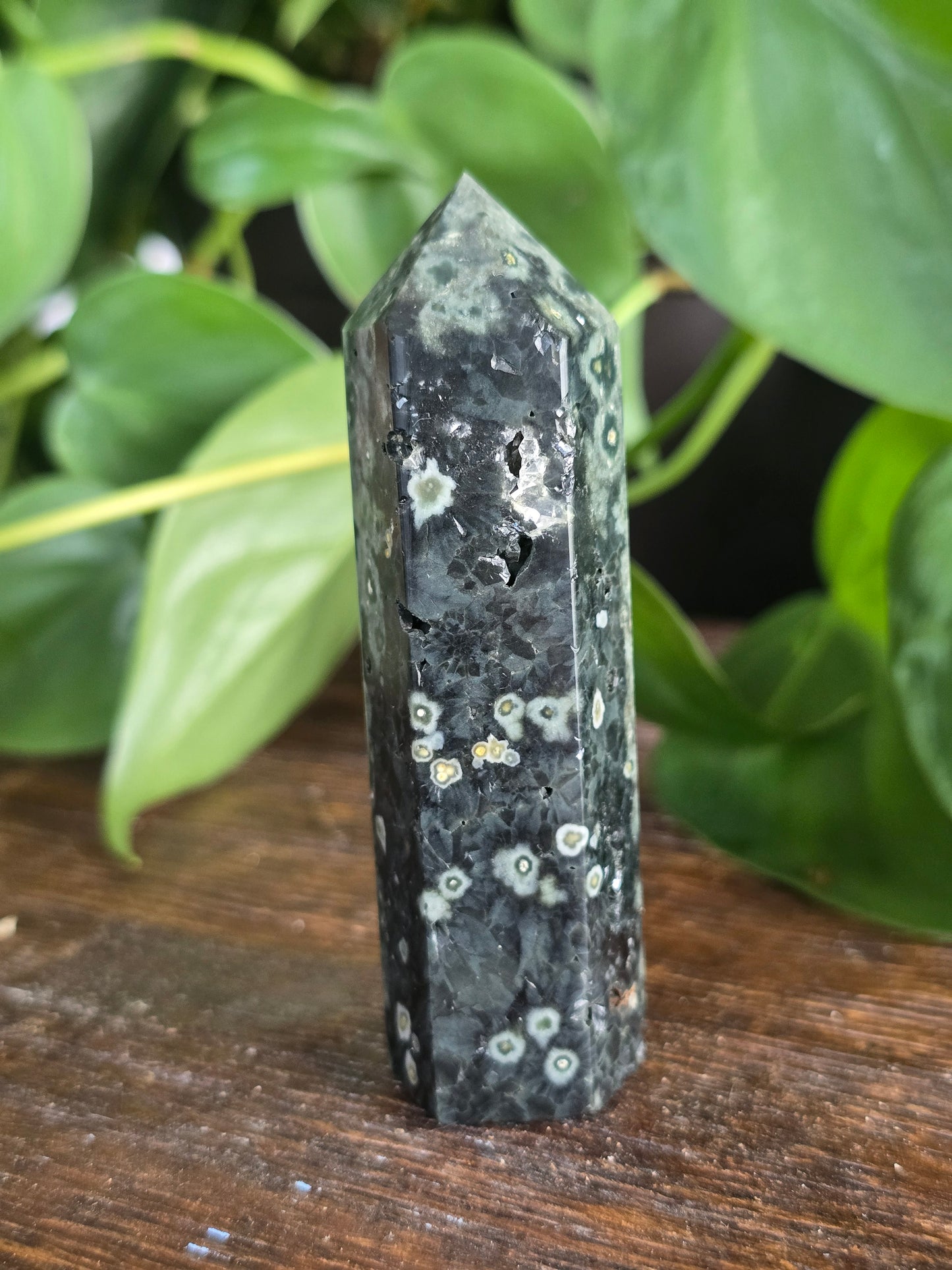 Green Ocean Jasper Tower "E"