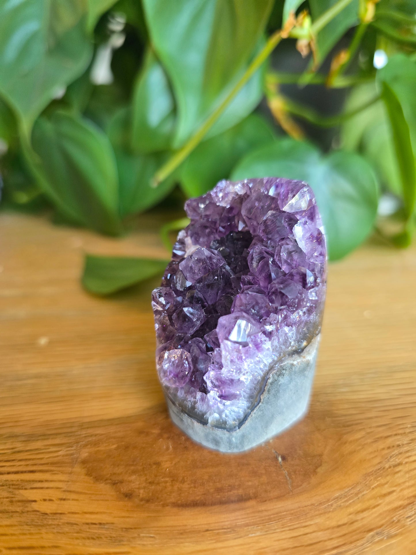 Druzy Amethyst Cluster