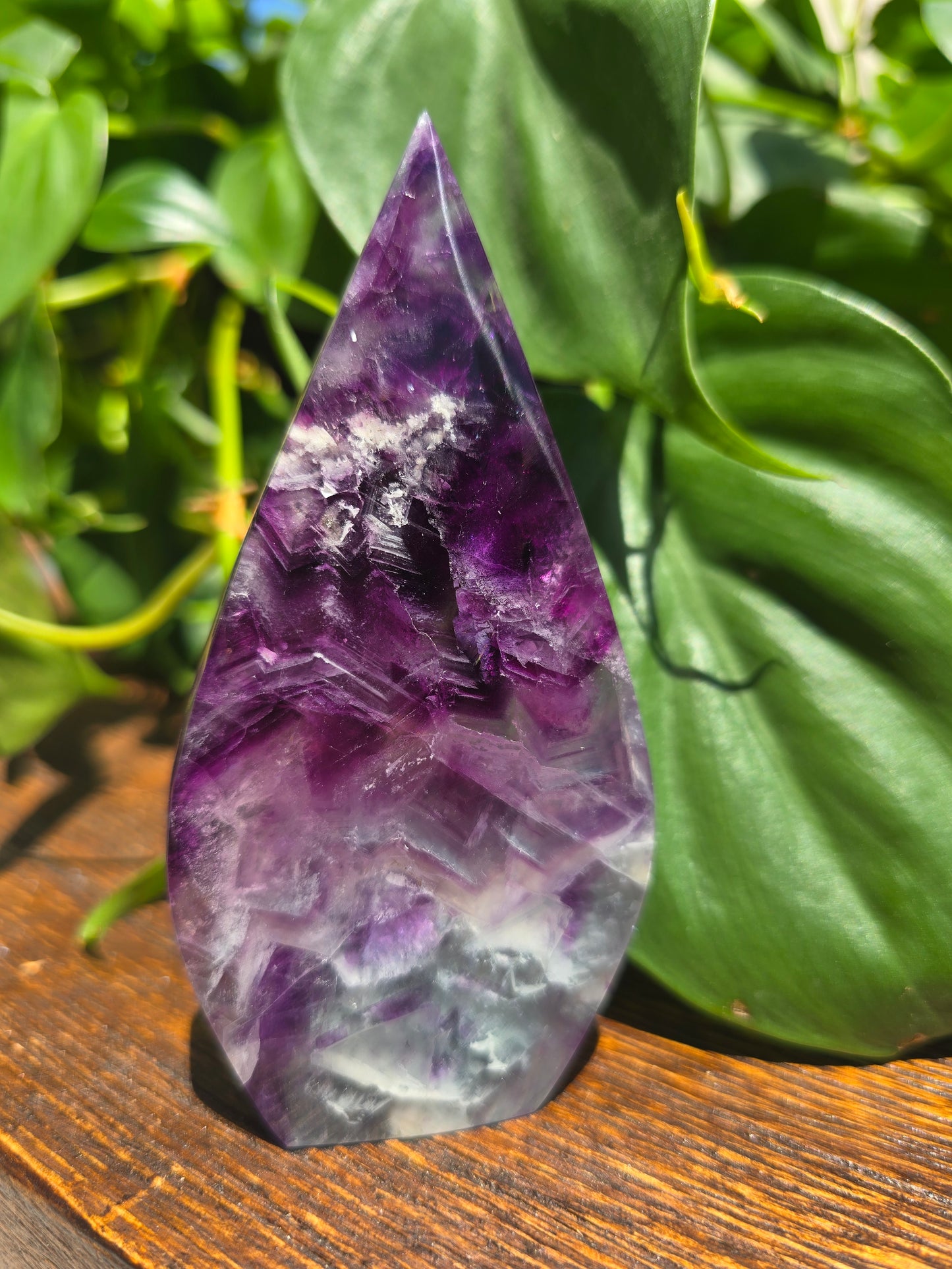 Rainbow Fluorite Flipper "A"