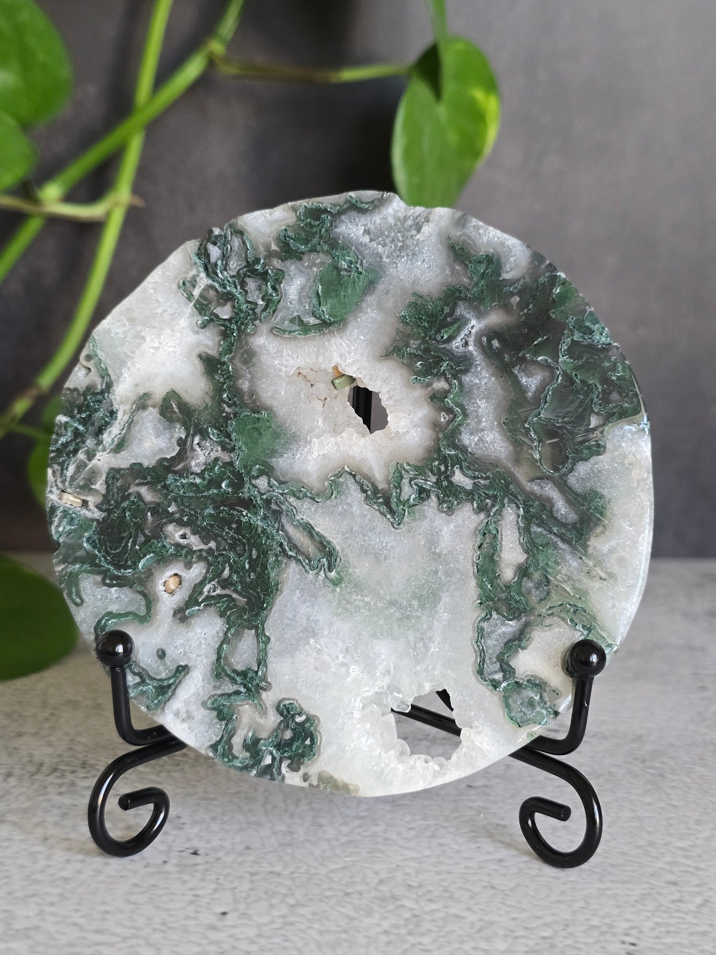 Moss Agate Disc