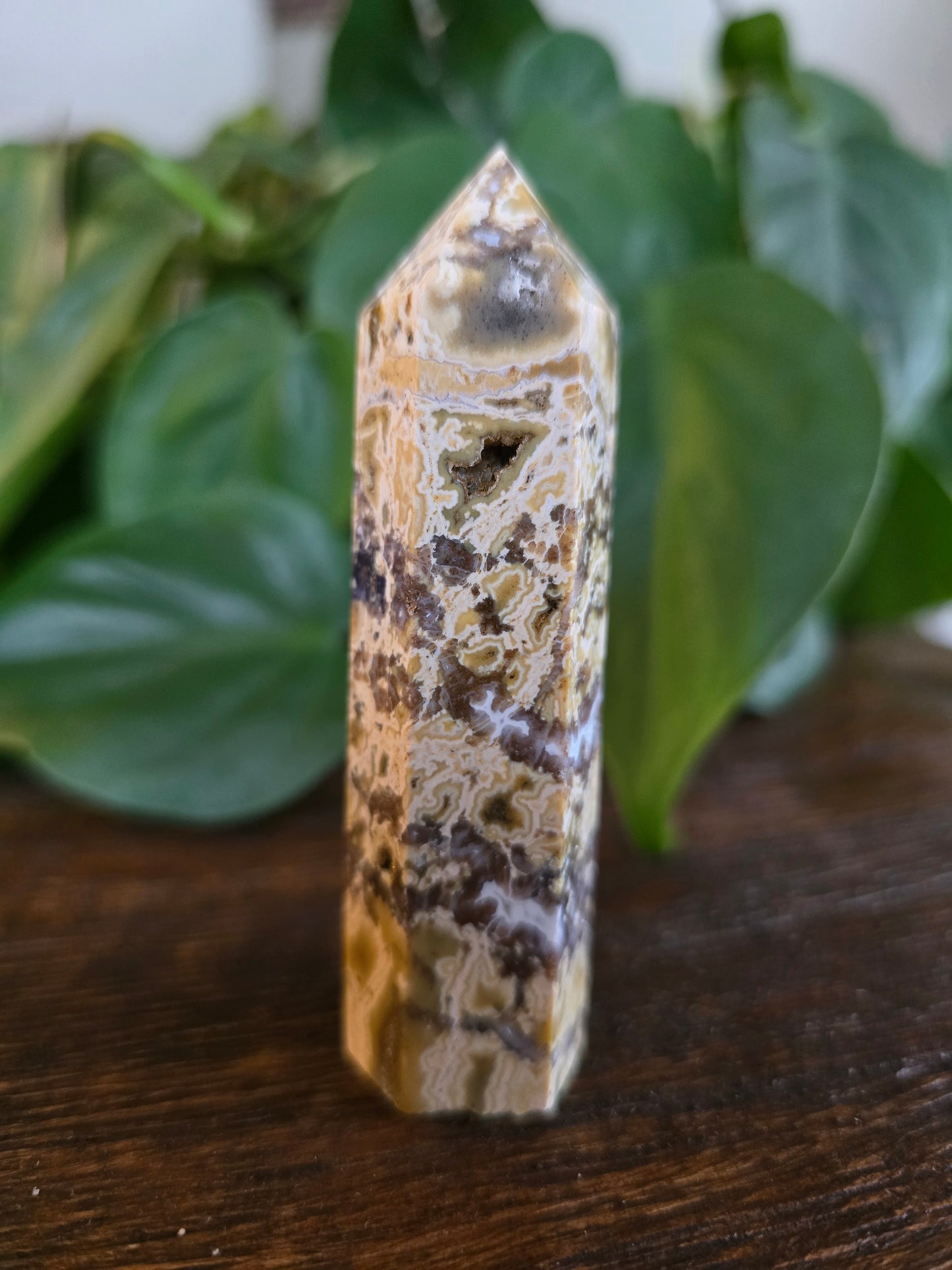 Ocean Jasper Tower "B"