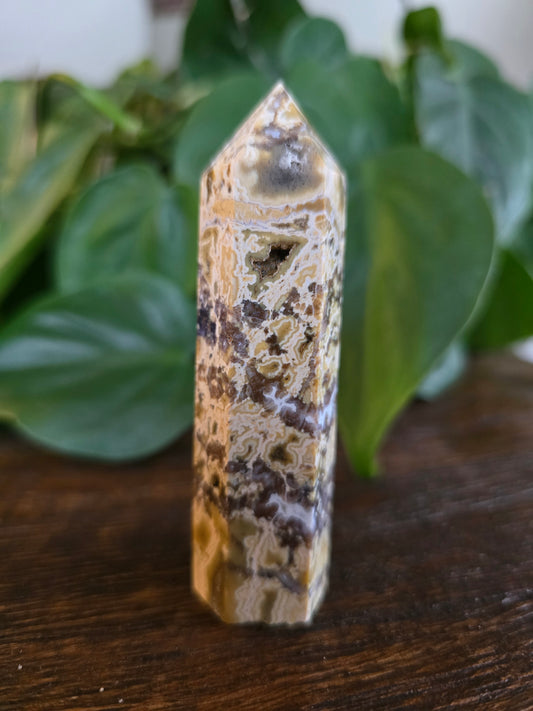 Ocean Jasper Tower "B"