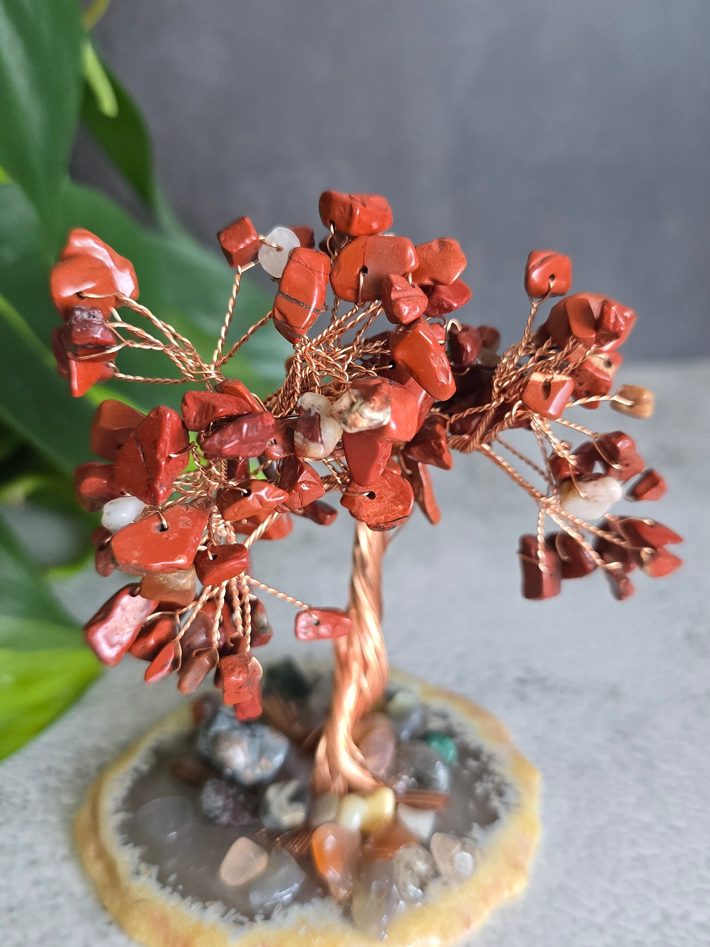 Red Jasper Chip Tree on Agate