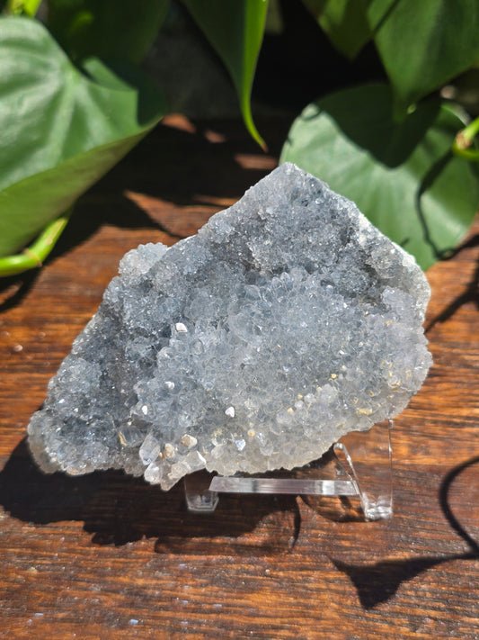 Brazilian Impression Amethyst Plate