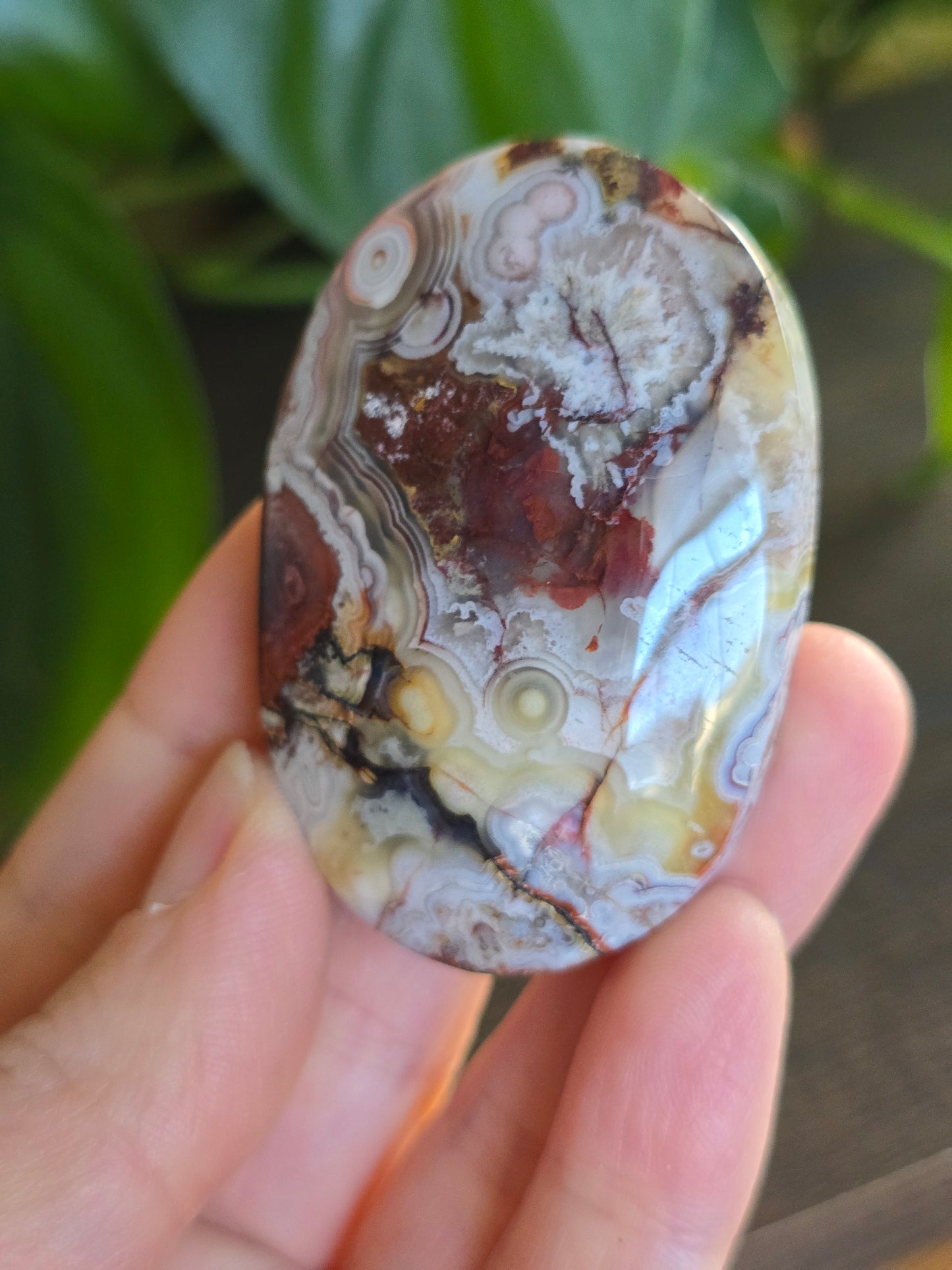 Red Mexican Crazy Lace Agate Palm Stone