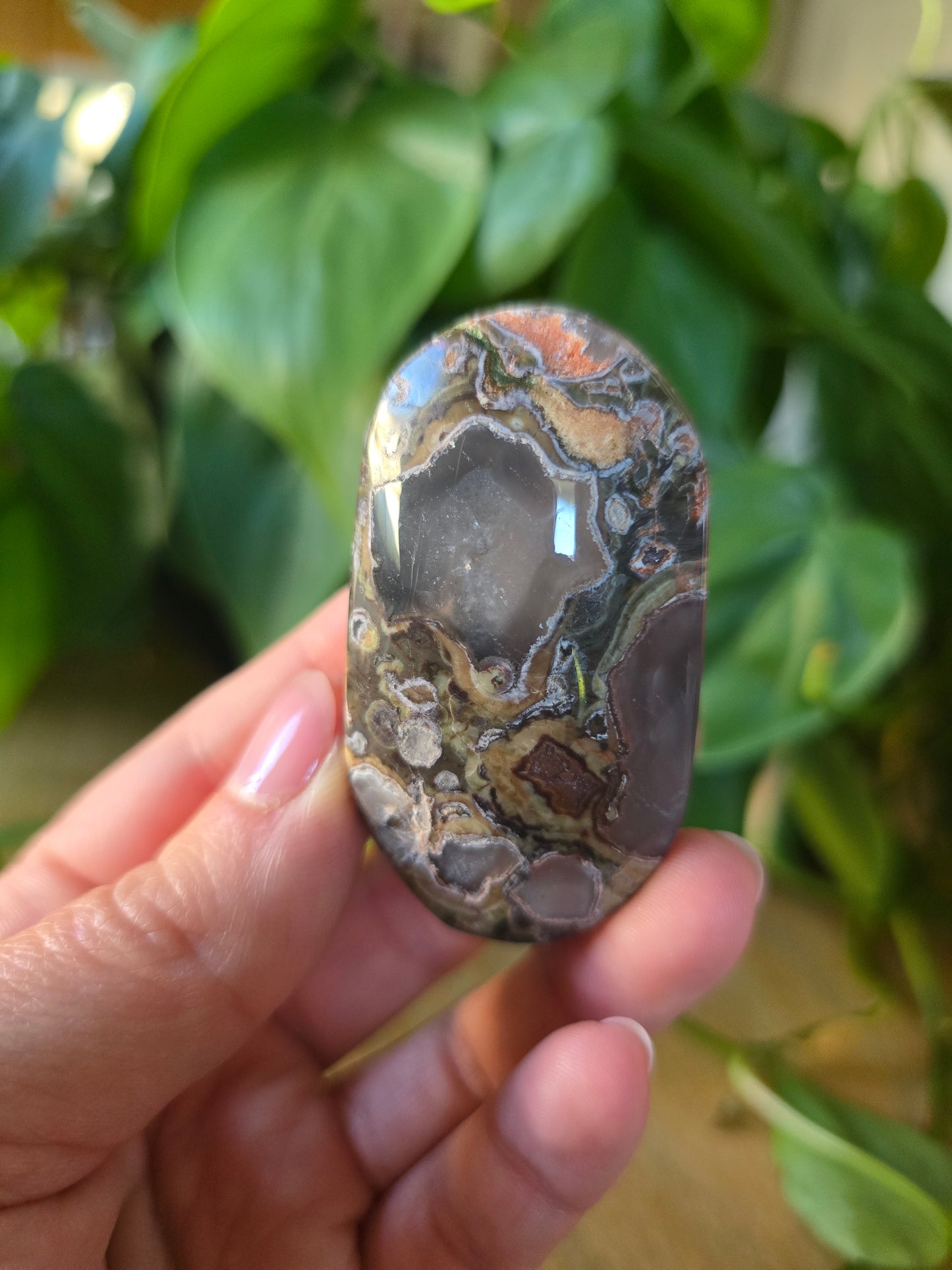 Money Agate Palm Stone