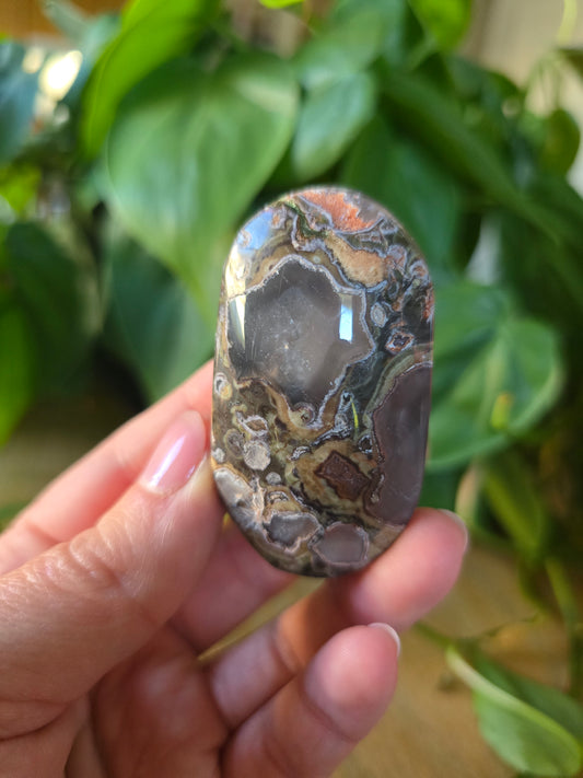 Money Agate Palm Stone