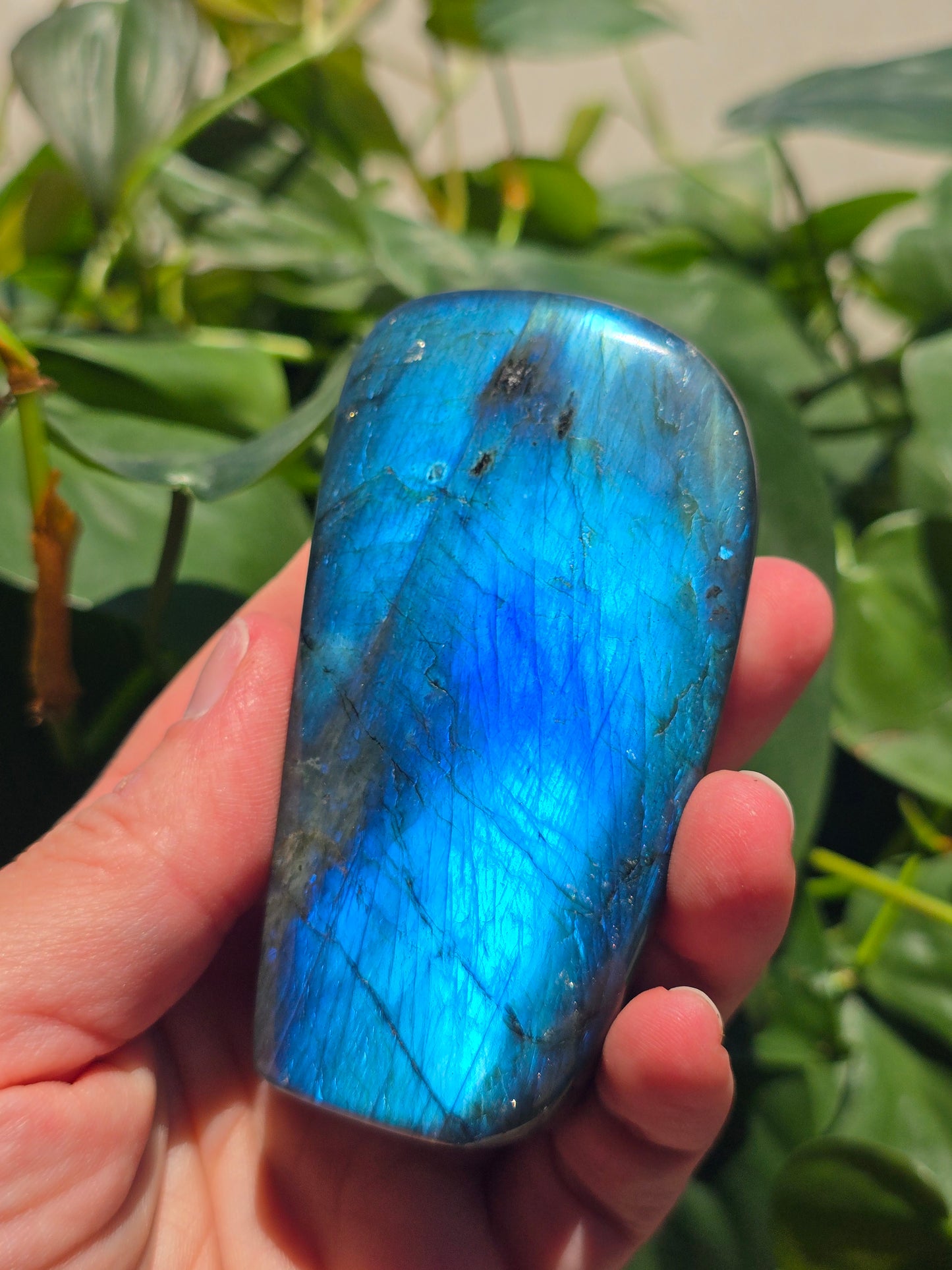 Labradorite Crystal Free Form Carving "E"