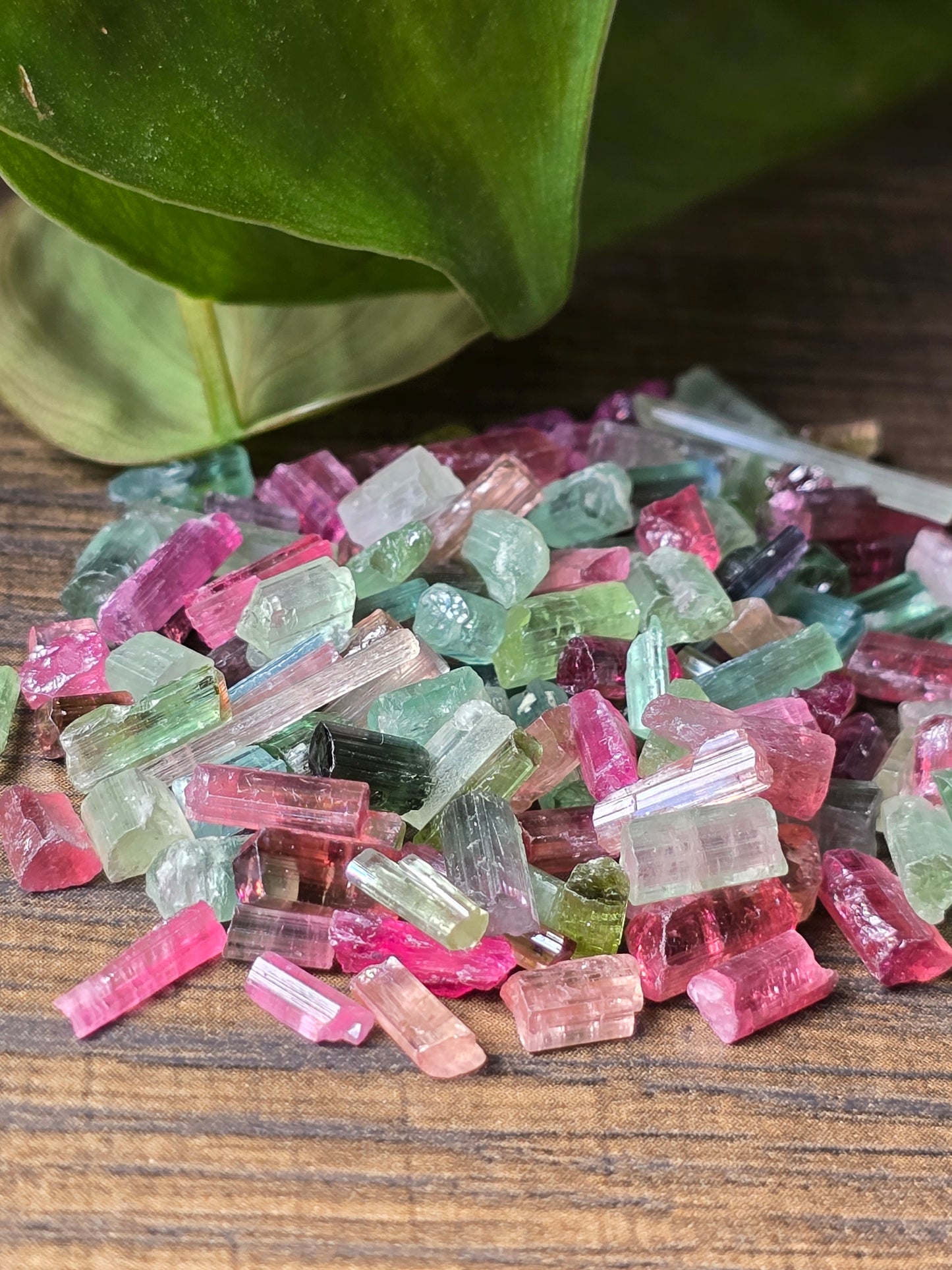 Watermelon Tourmaline