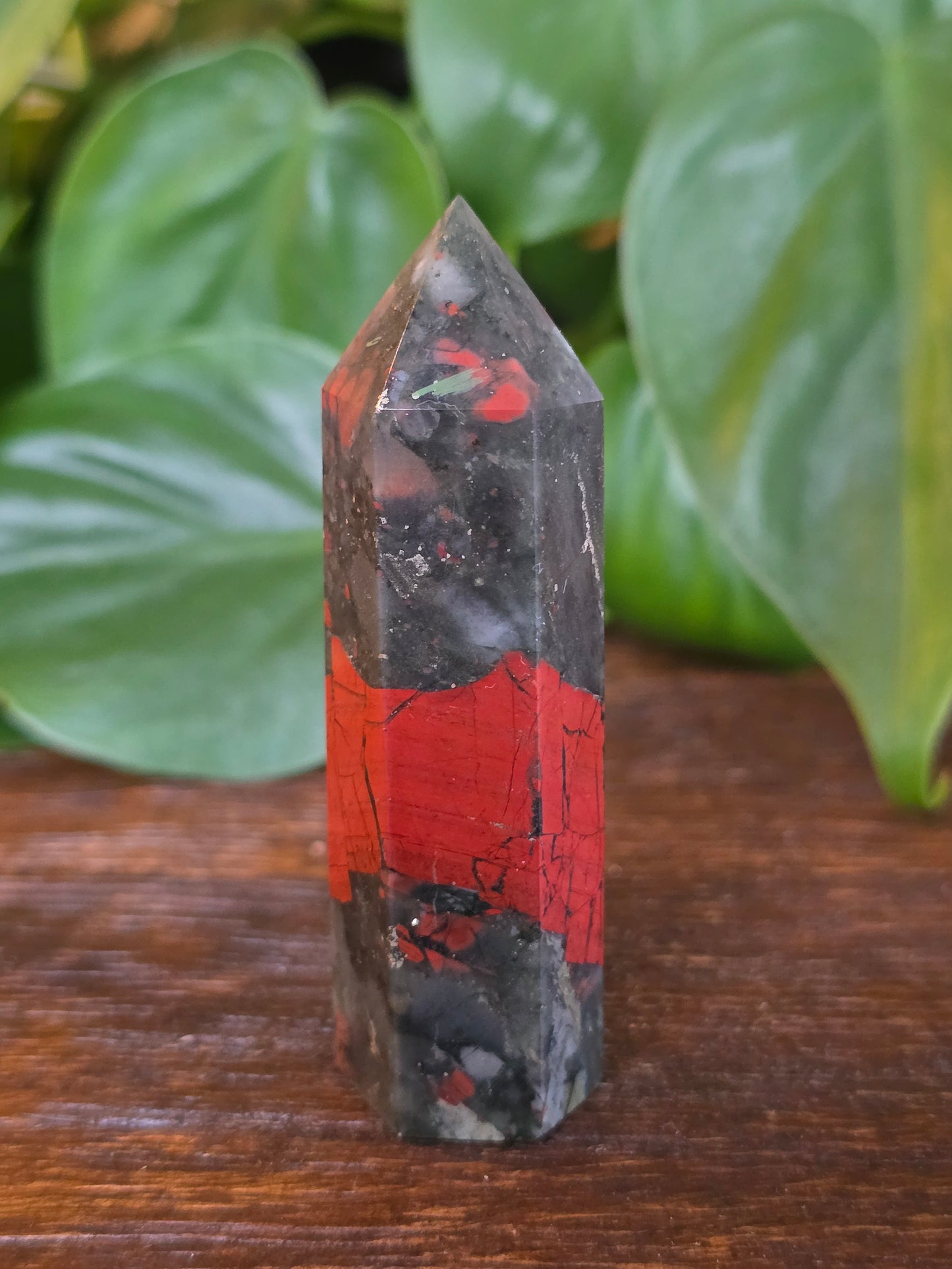 African Bloodstone Point "G"