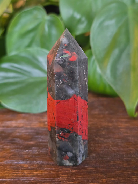 African Bloodstone Point "G"