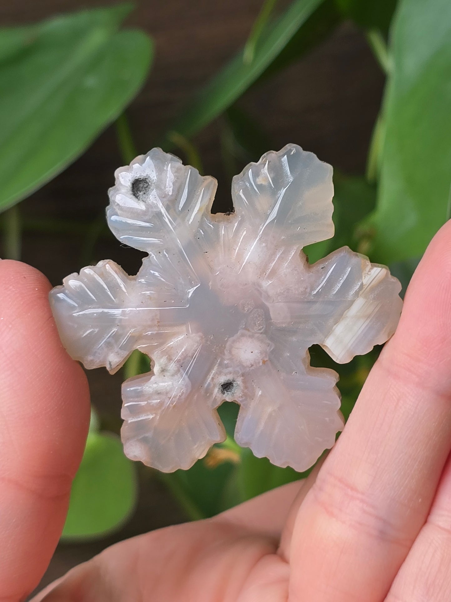 Flower Agate Snowflake