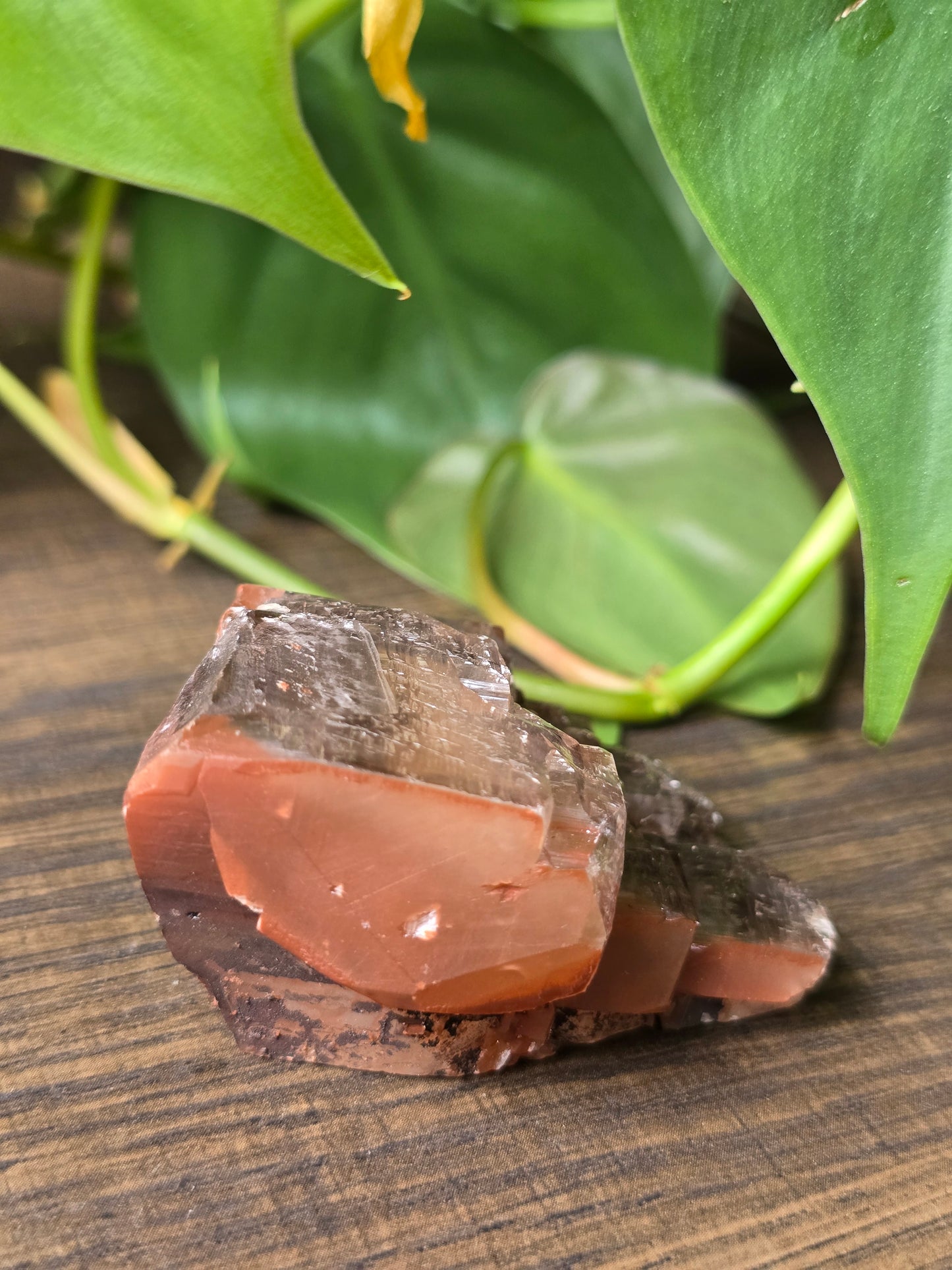 Chocolate Calcite Specimen