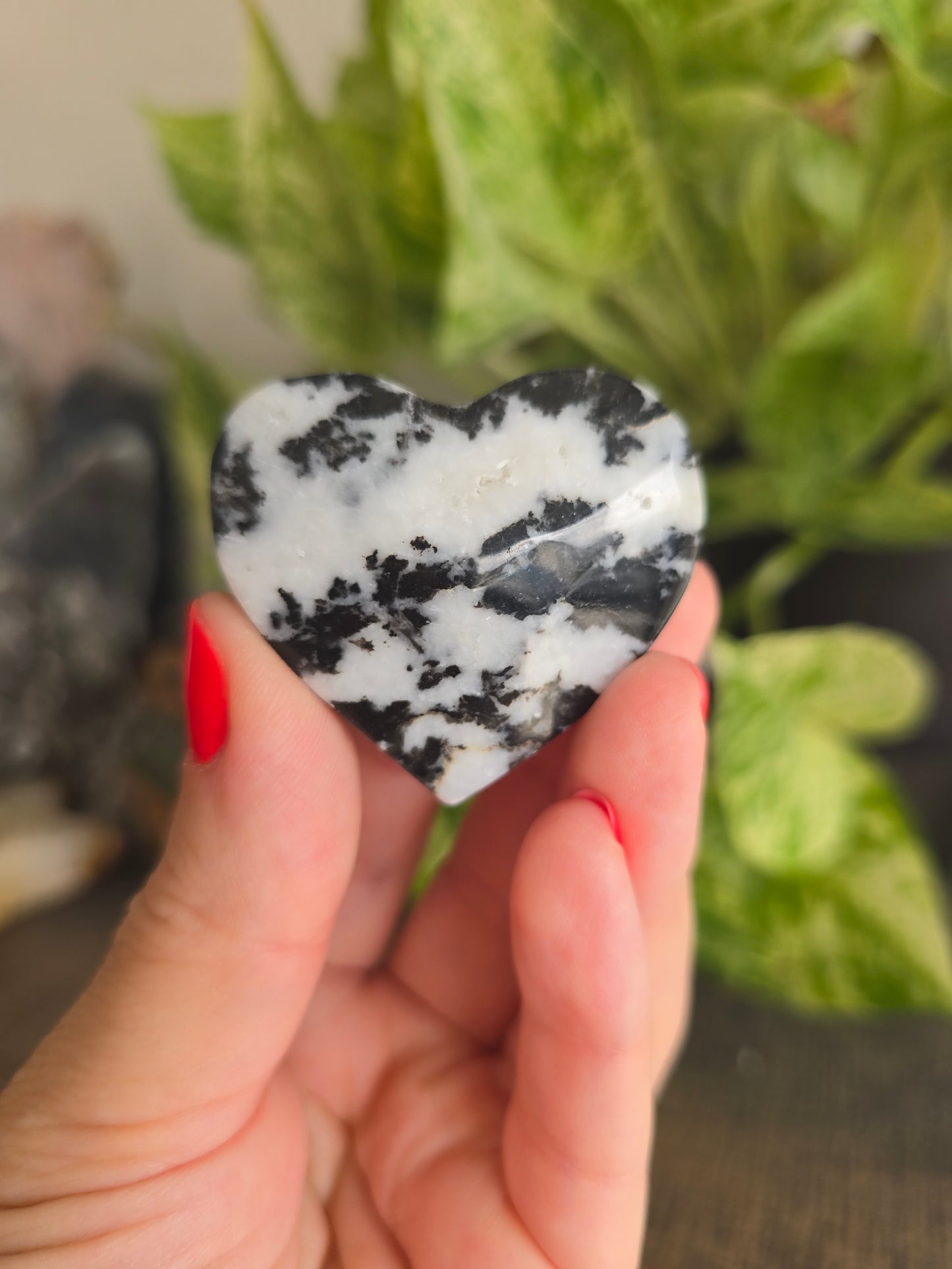 Zebra Jasper Heart