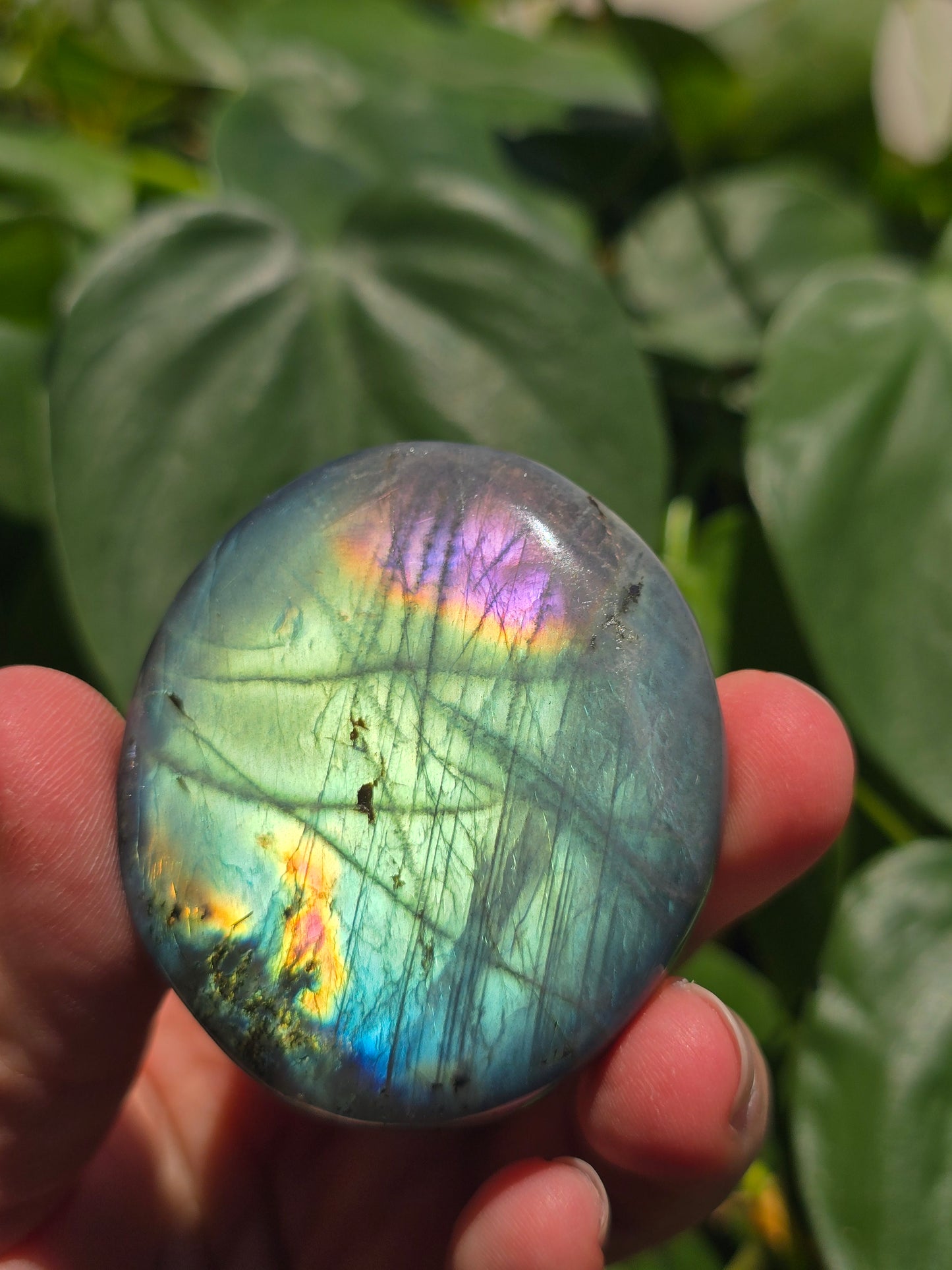 Labradorite Palm Stone "A"