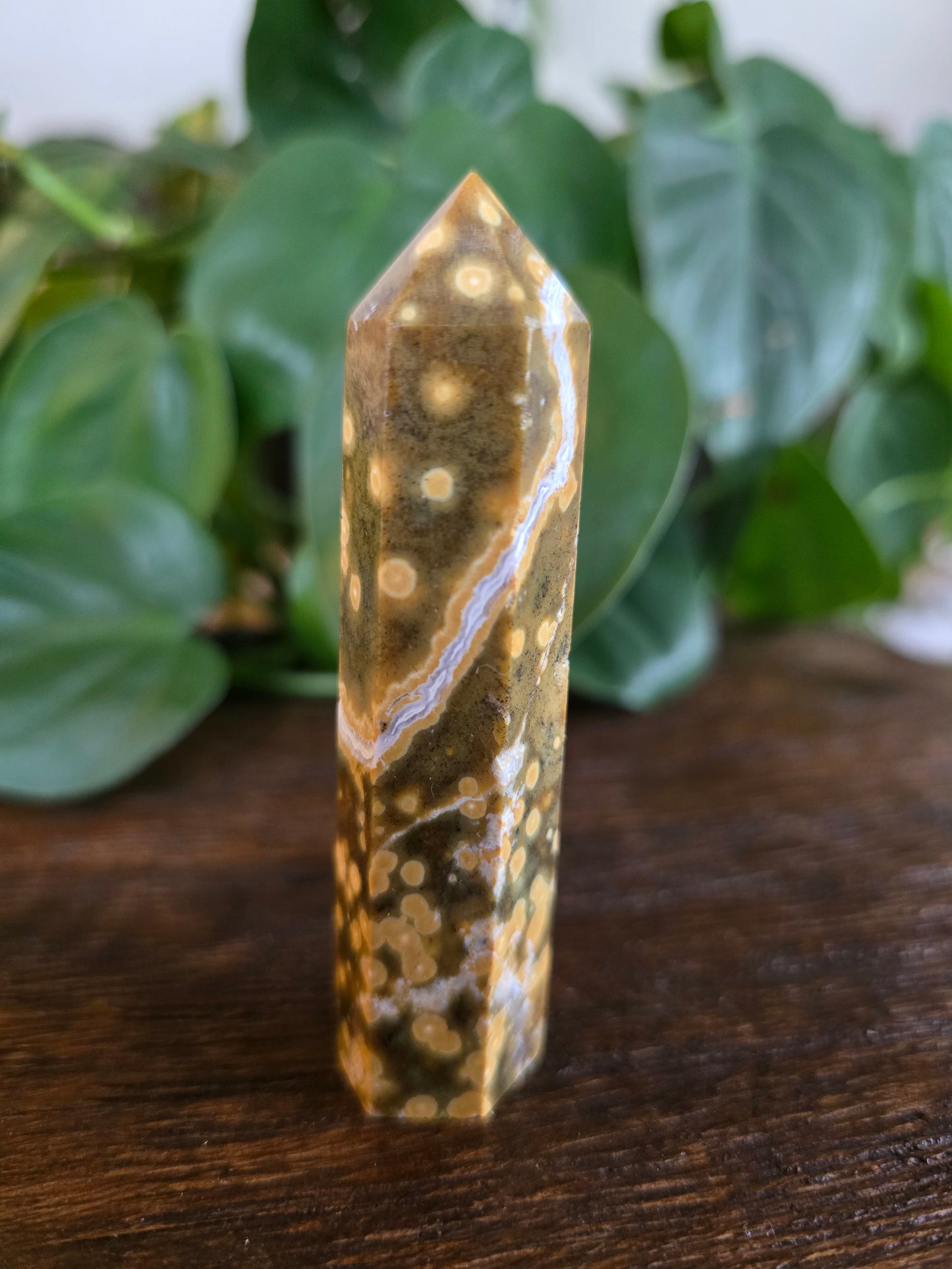 Ocean Jasper Tower "F"