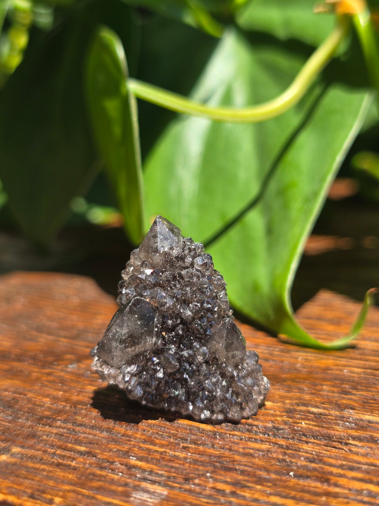 Smoky Black Spirit Quartz Specimen "G"