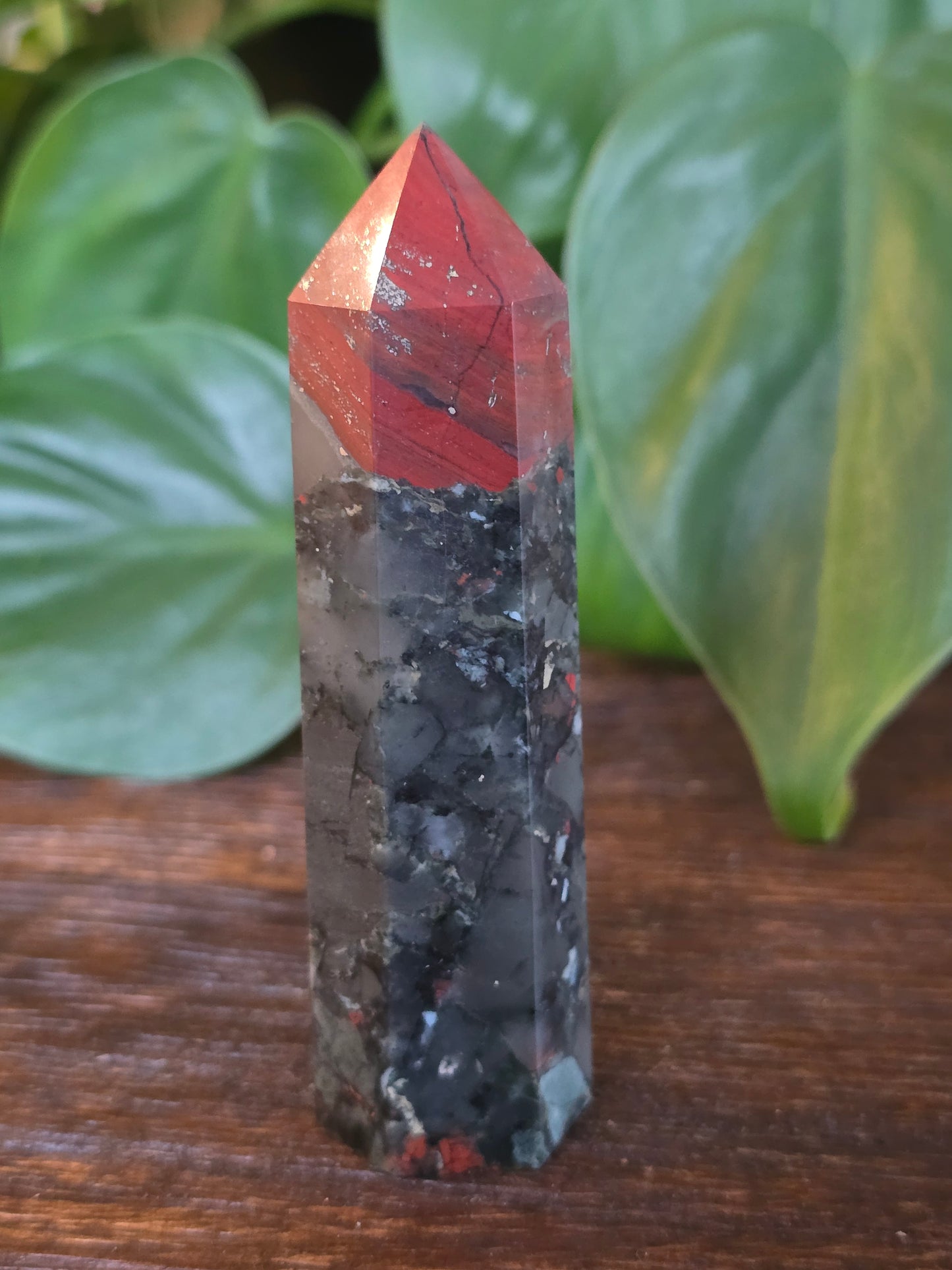 African Bloodstone Point "M"