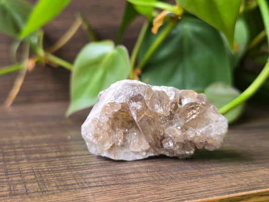 Smoky Quartz Cluster