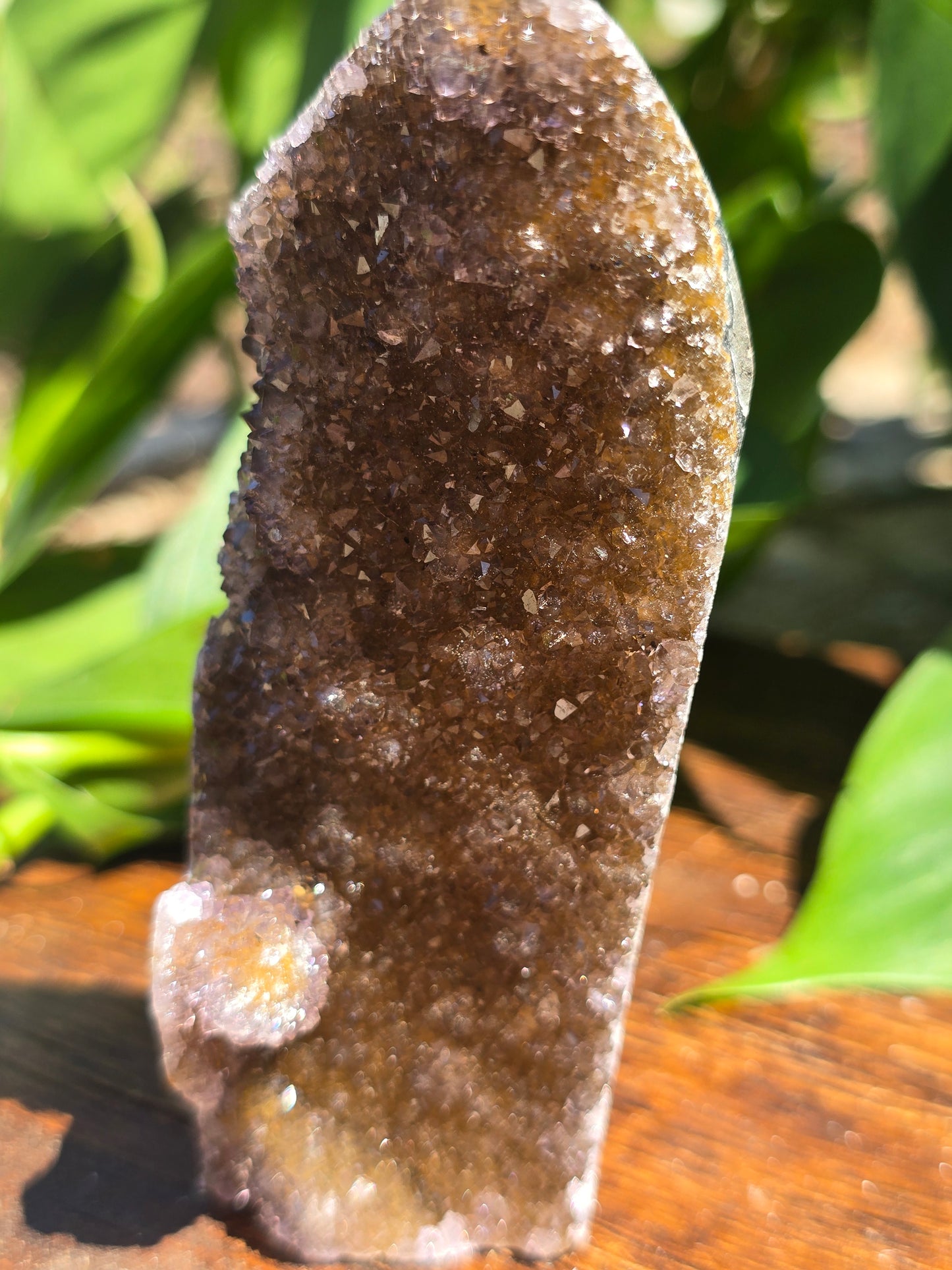 Brazilian Brown Amethyst Cluster