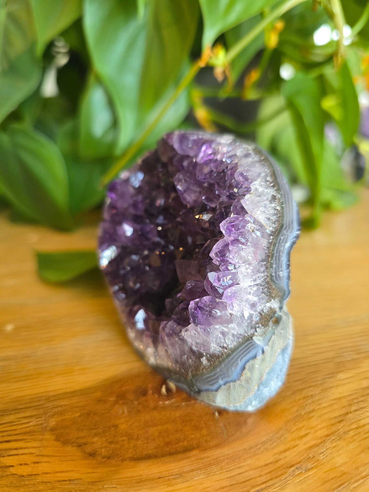 Druzy Amethyst Cluster