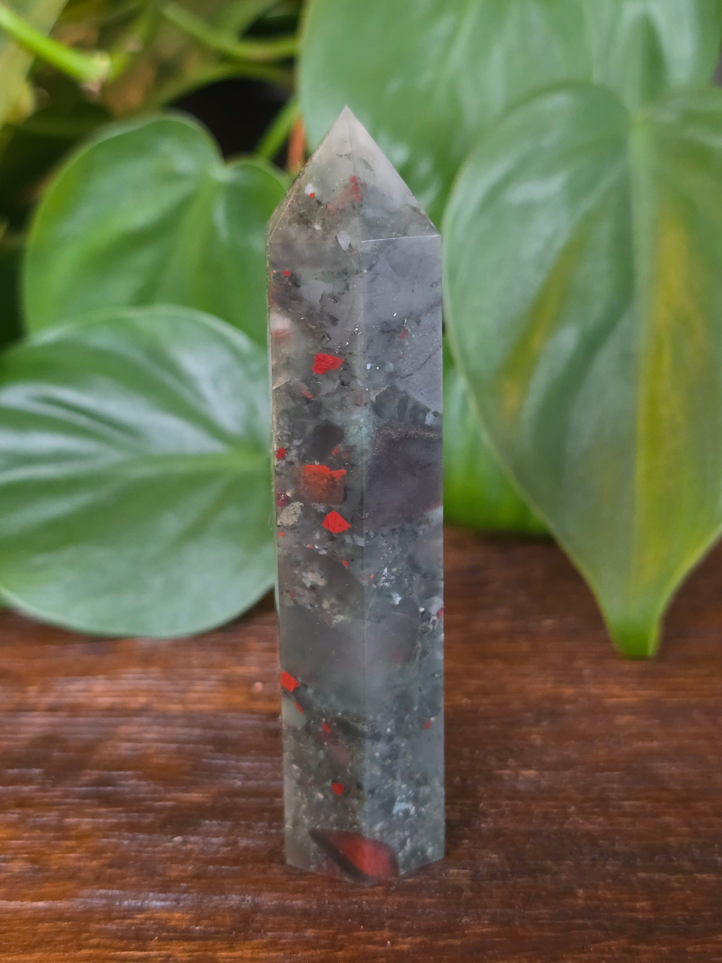 African Bloodstone Point "H"