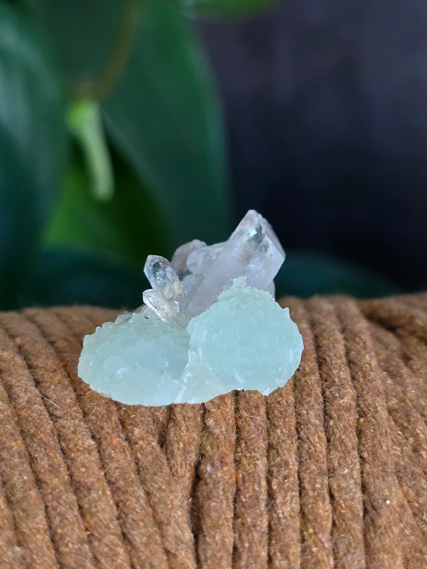 Prehnite and Epidote on Quartz Matrix