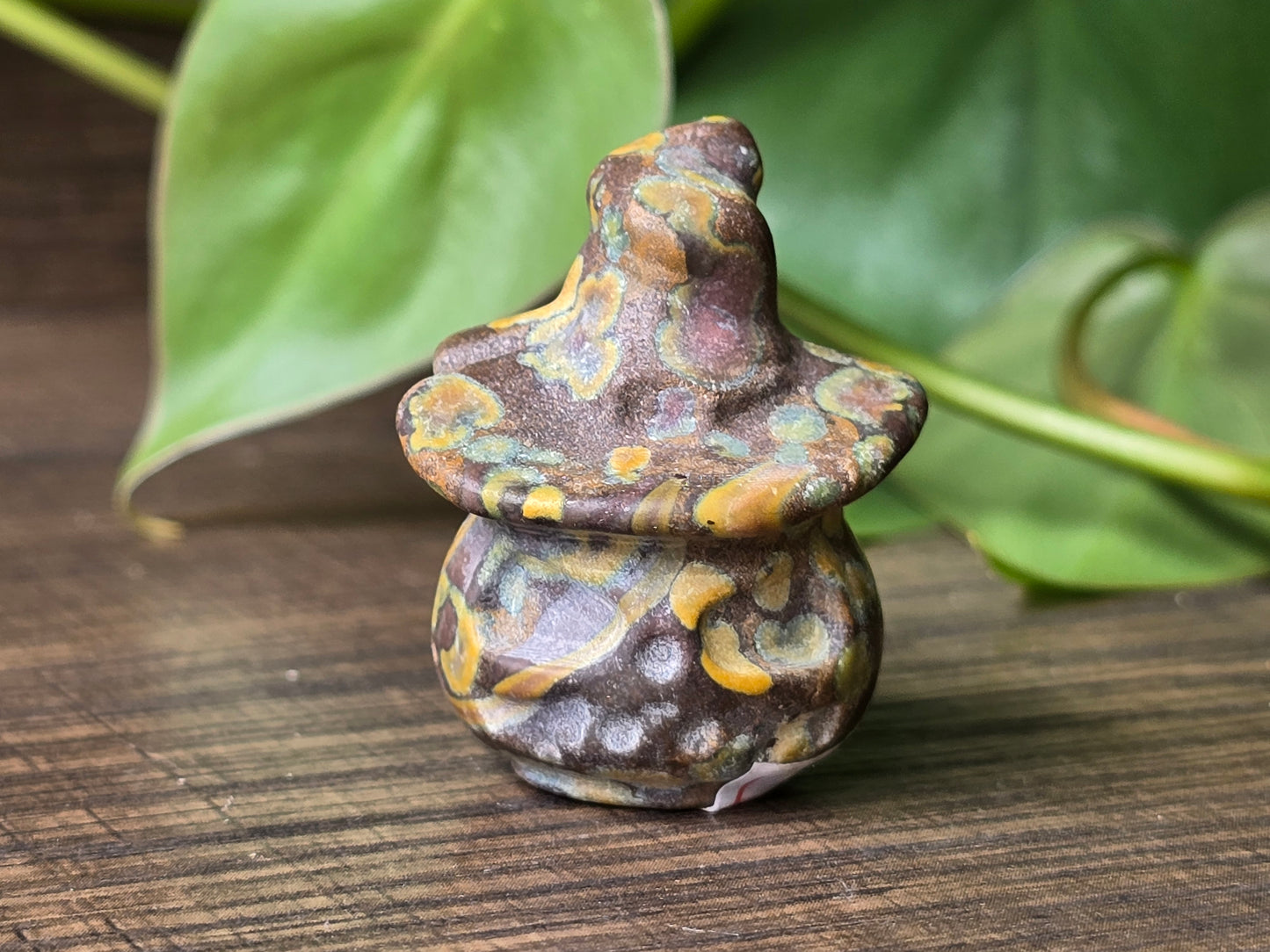 Fruit Jasper Pumpkin Witch