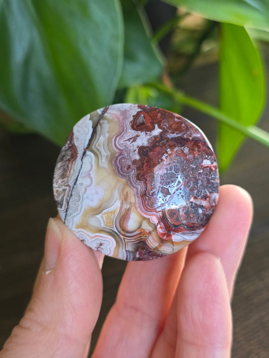 Red Mexican Crazy Lace Agate Palm Stone