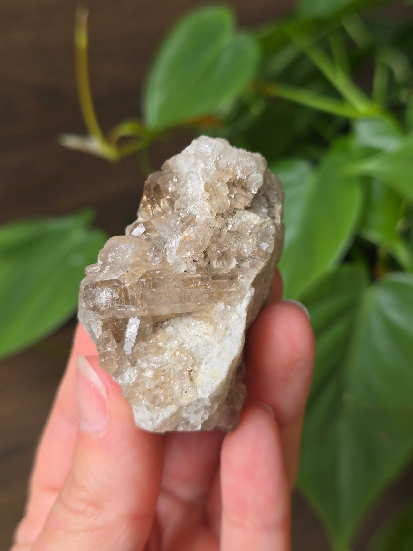 Smoky Quartz Cluster