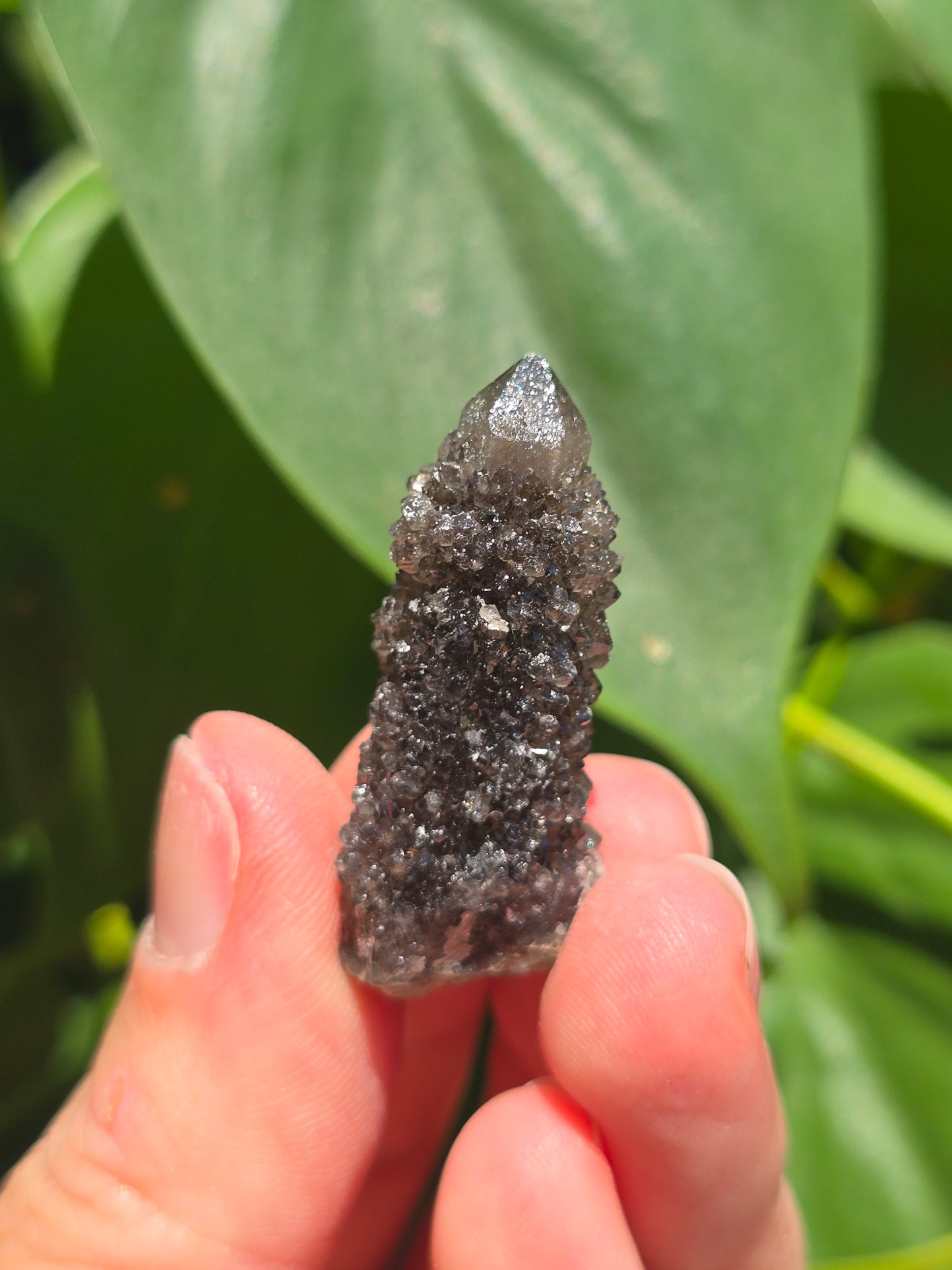 Smoky Black Spirit Quartz Specimen "H"
