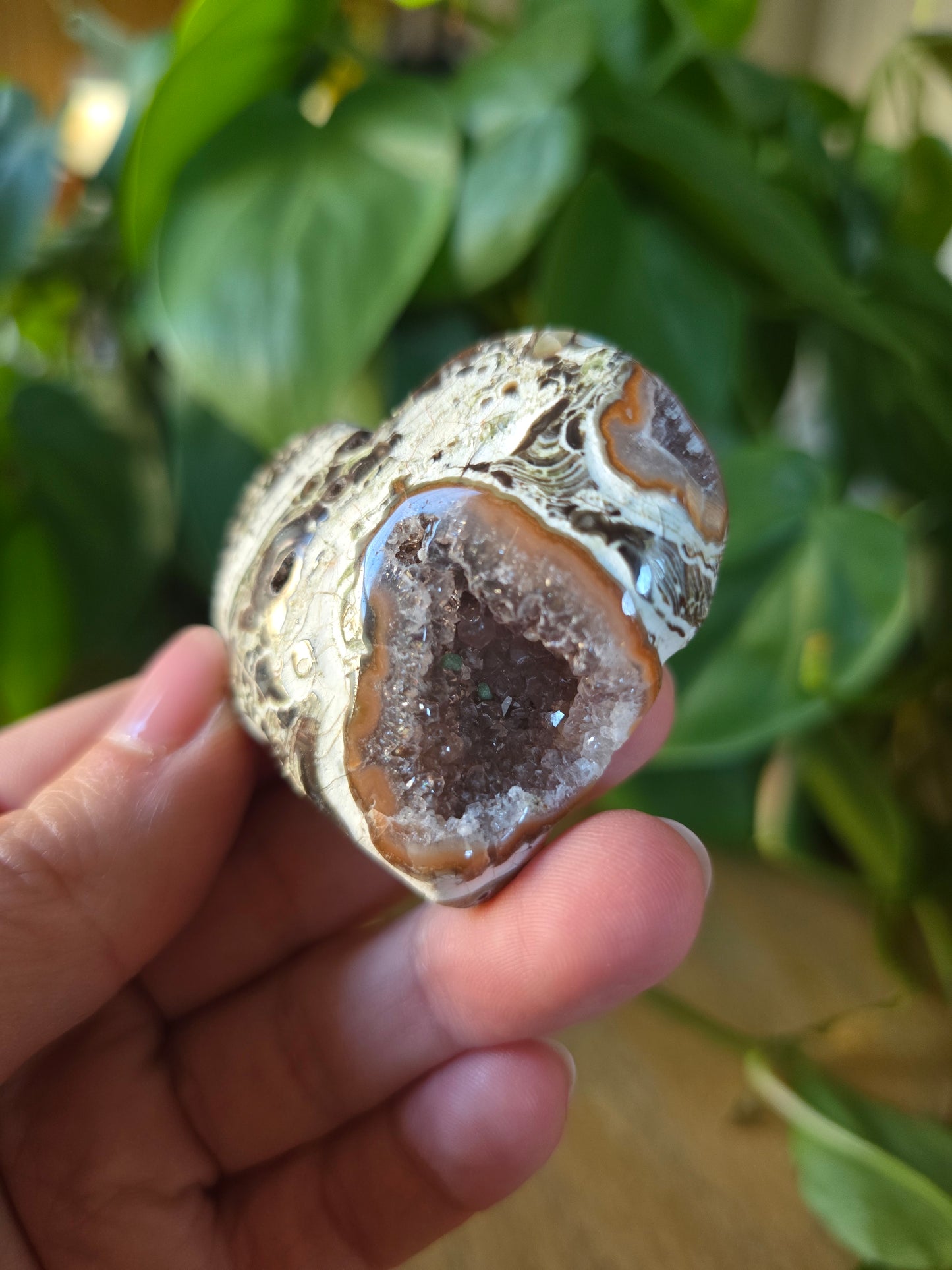 Money Agate Heart