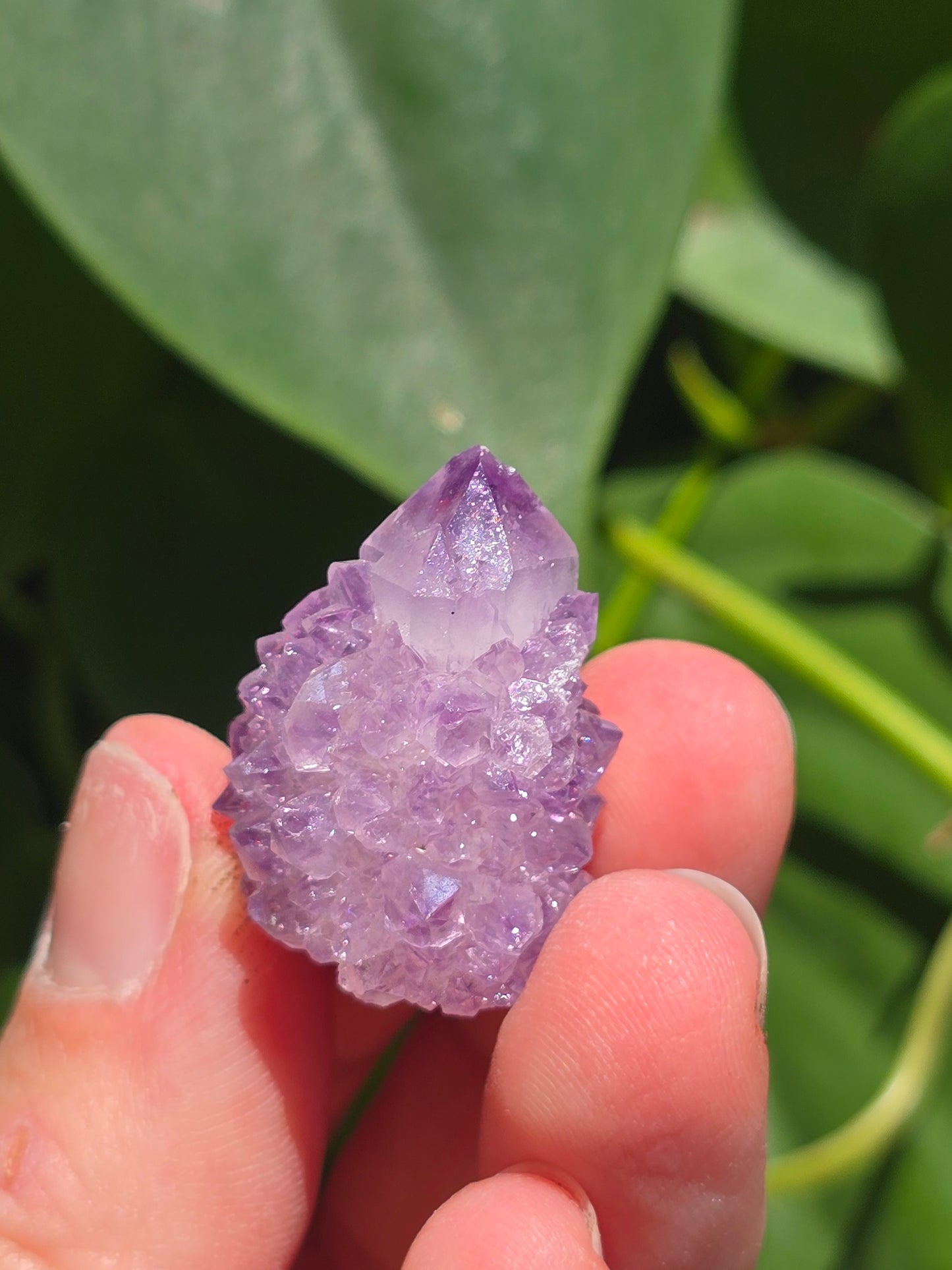 Amethyst Spirit Cactus Quartz Crystal Specimen "E"