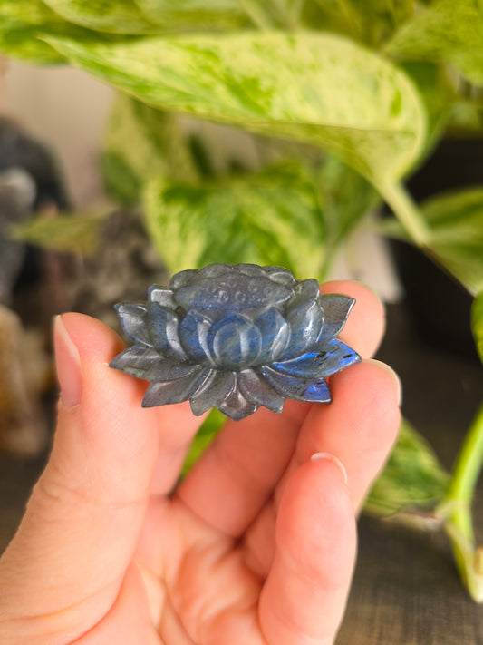 Labradorite Lotus Carving