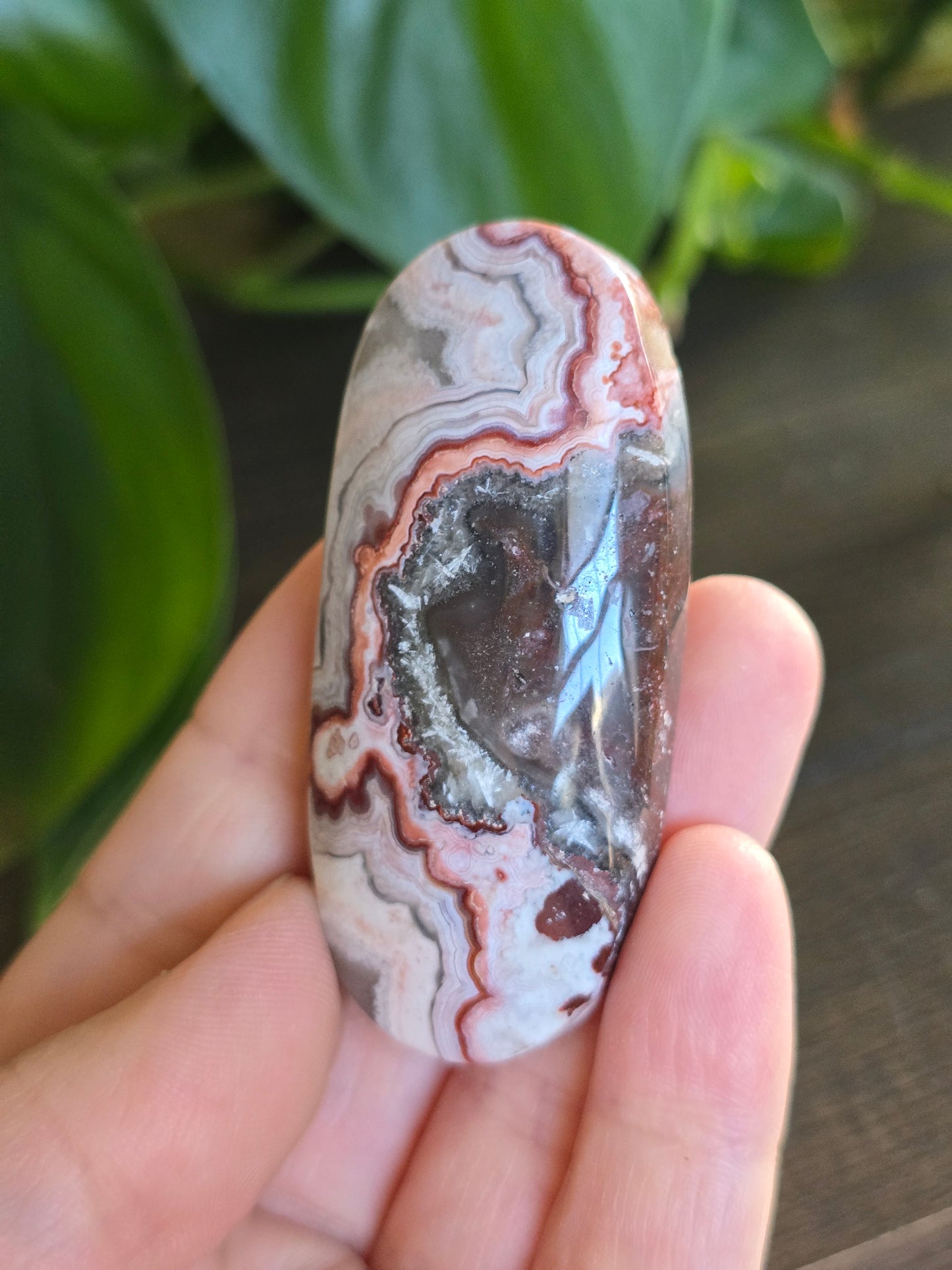 Red Mexican Crazy Lace Agate Palm Stone