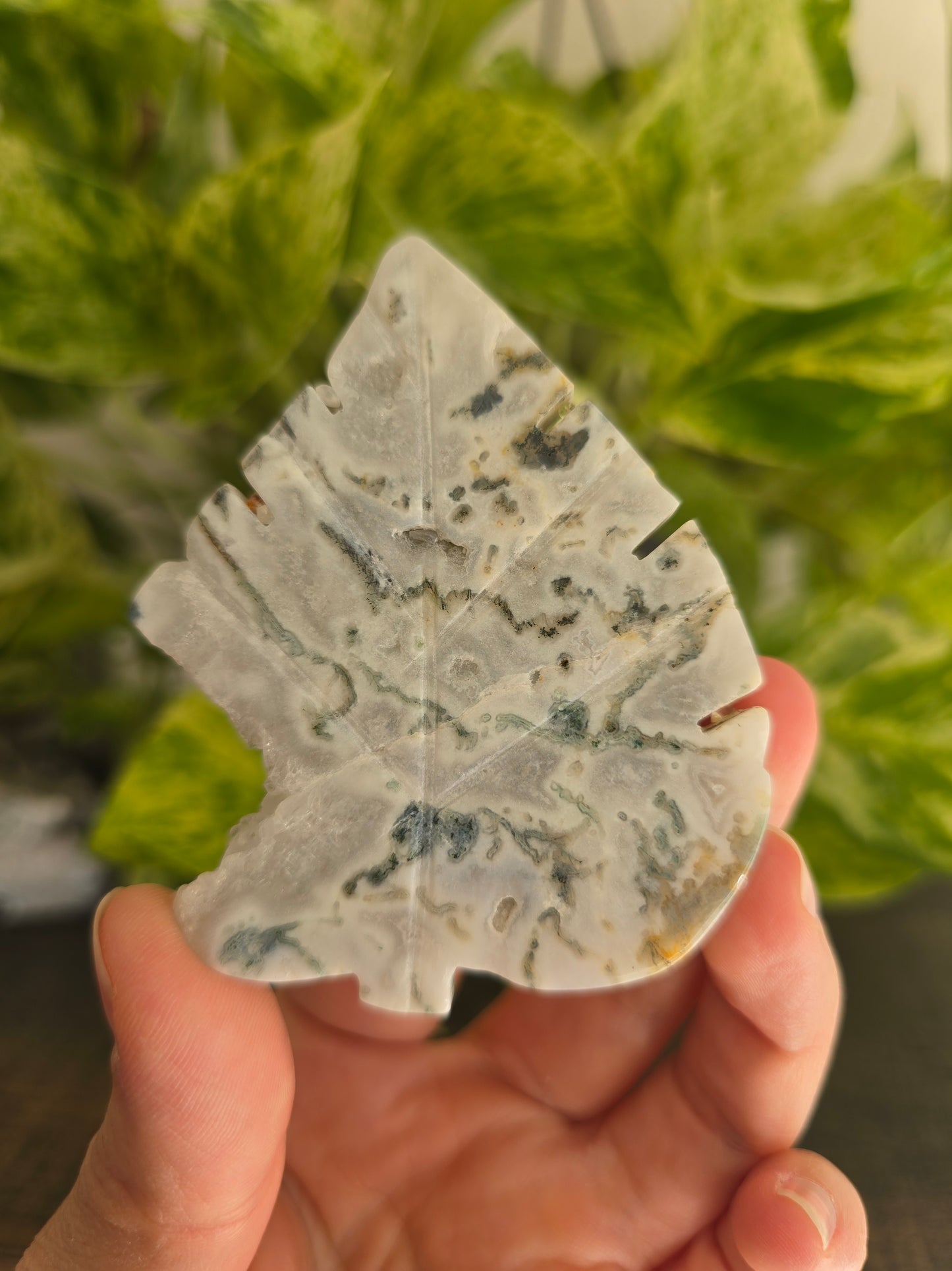 Moss Agate Leaf