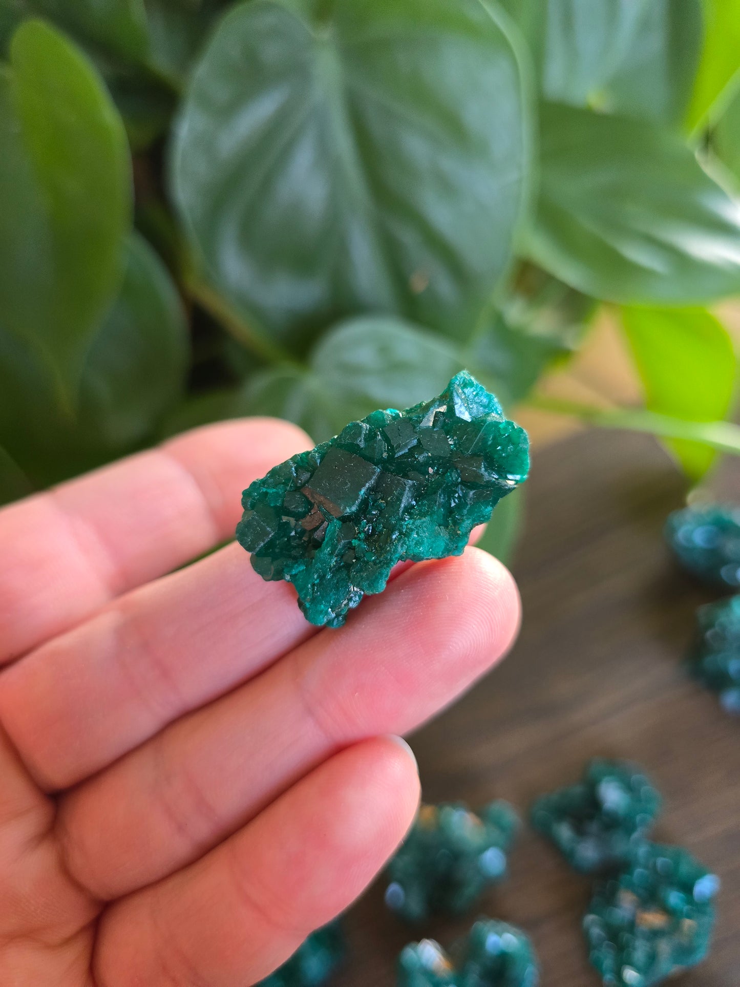 Dioptase Rough Specimen - Congo (22)
