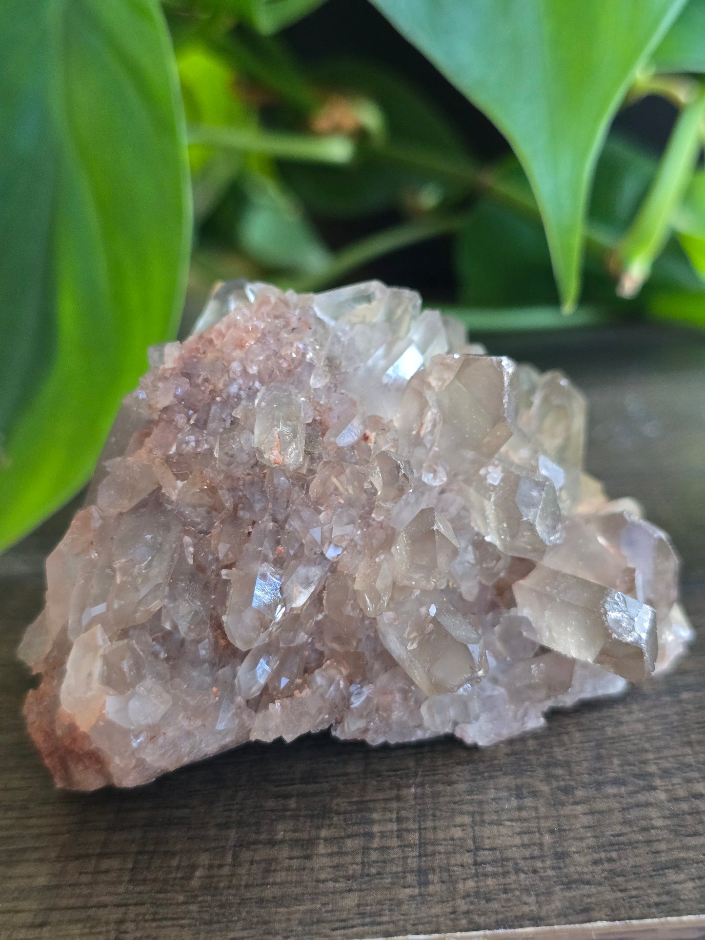 Smoky Quartz Cluster