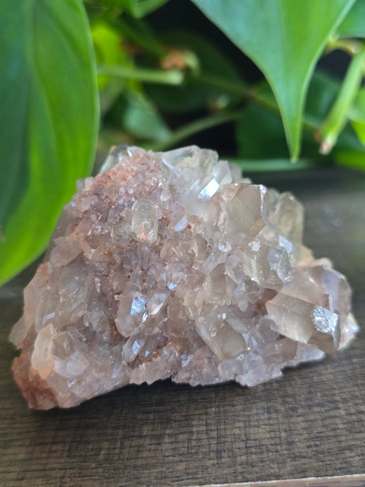 Smoky Quartz Cluster