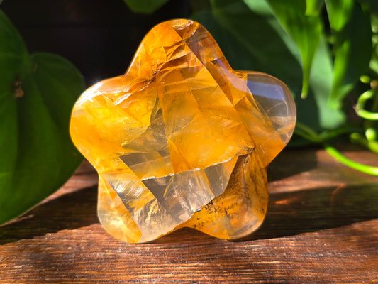 Golden Healer Flower Carving "F"