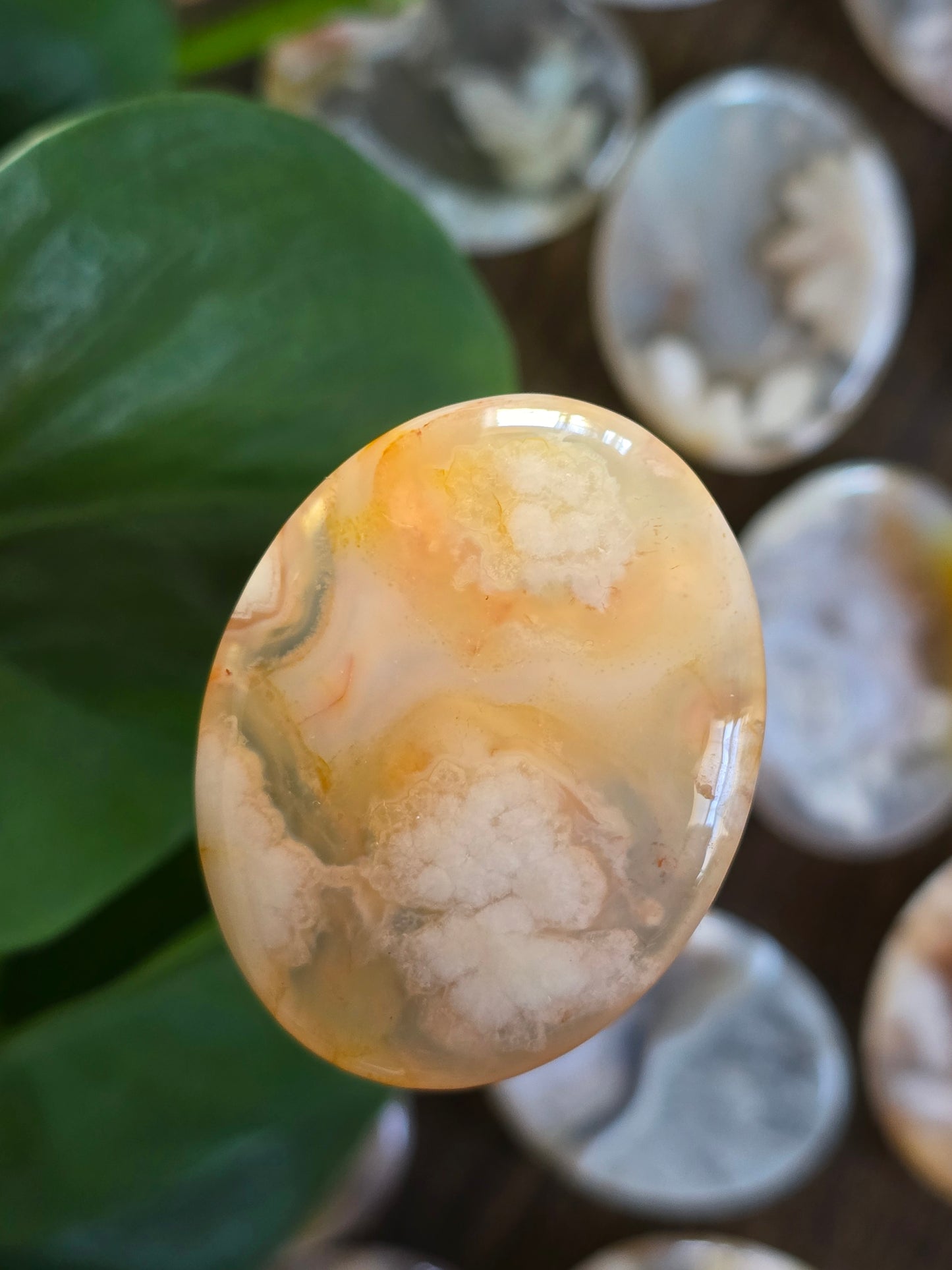 Flower Agate Worry Stone