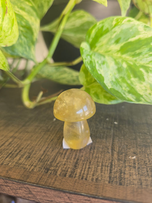 Fluorite Mushroom Carving