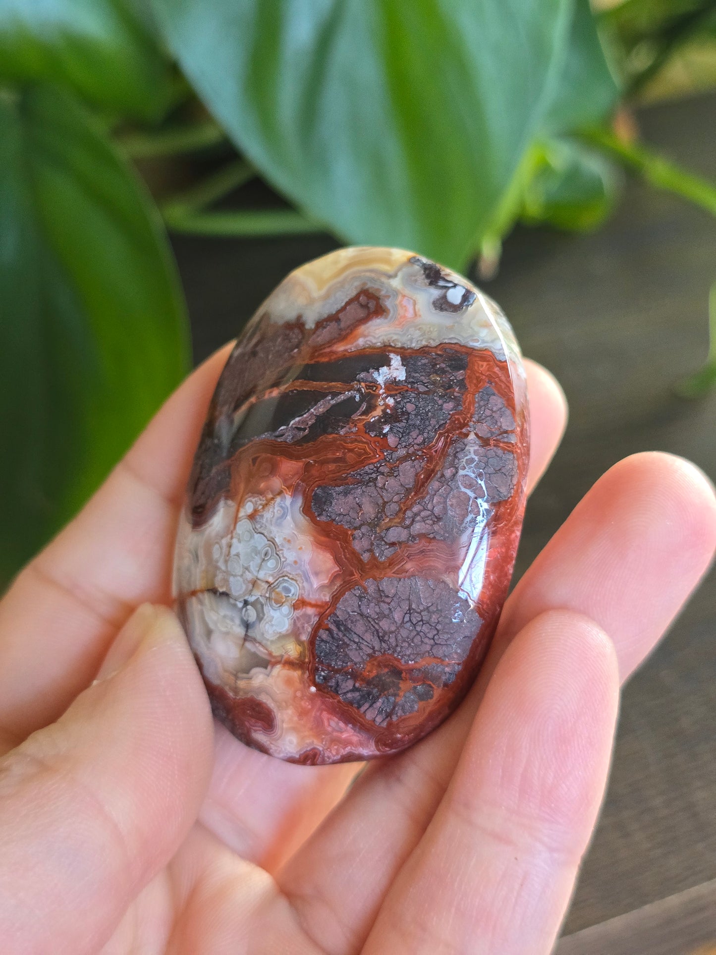 Red Mexican Crazy Lace Agate Palm Stone