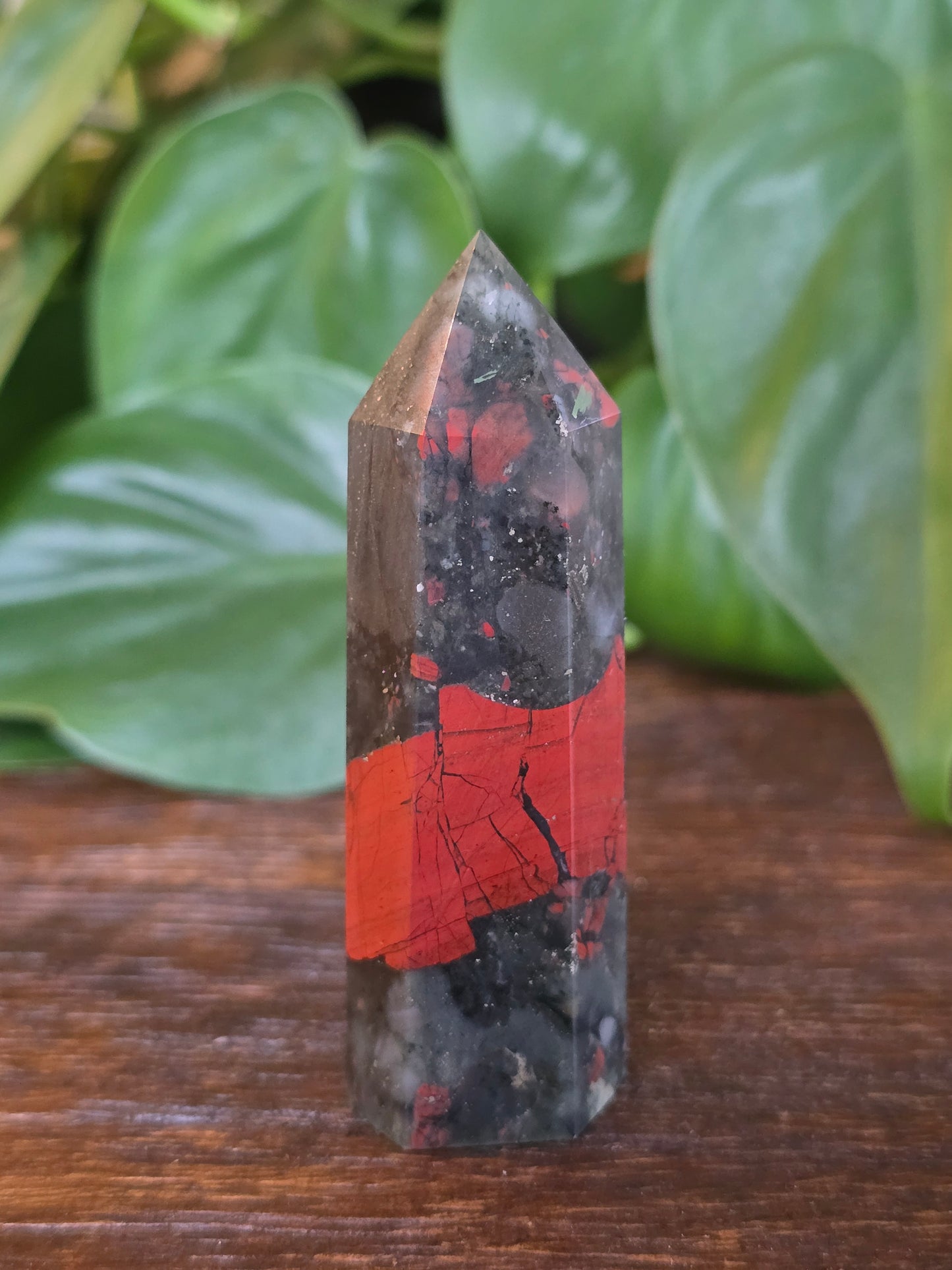African Bloodstone Point "G"