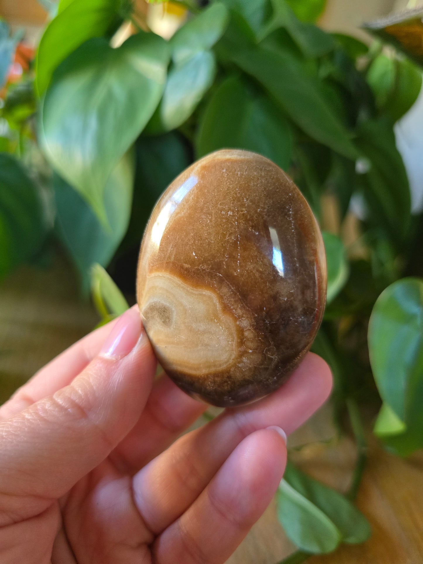 Chocolate Calcite Palm Stone