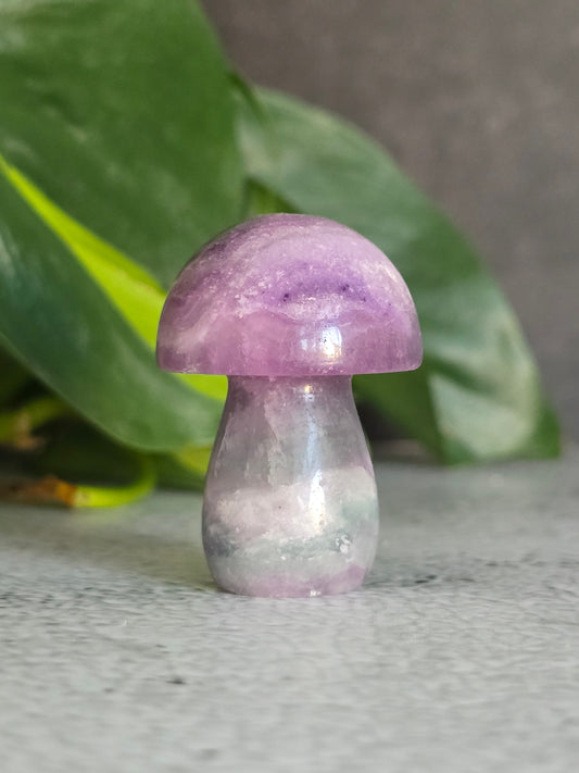 Fluorite Mushroom