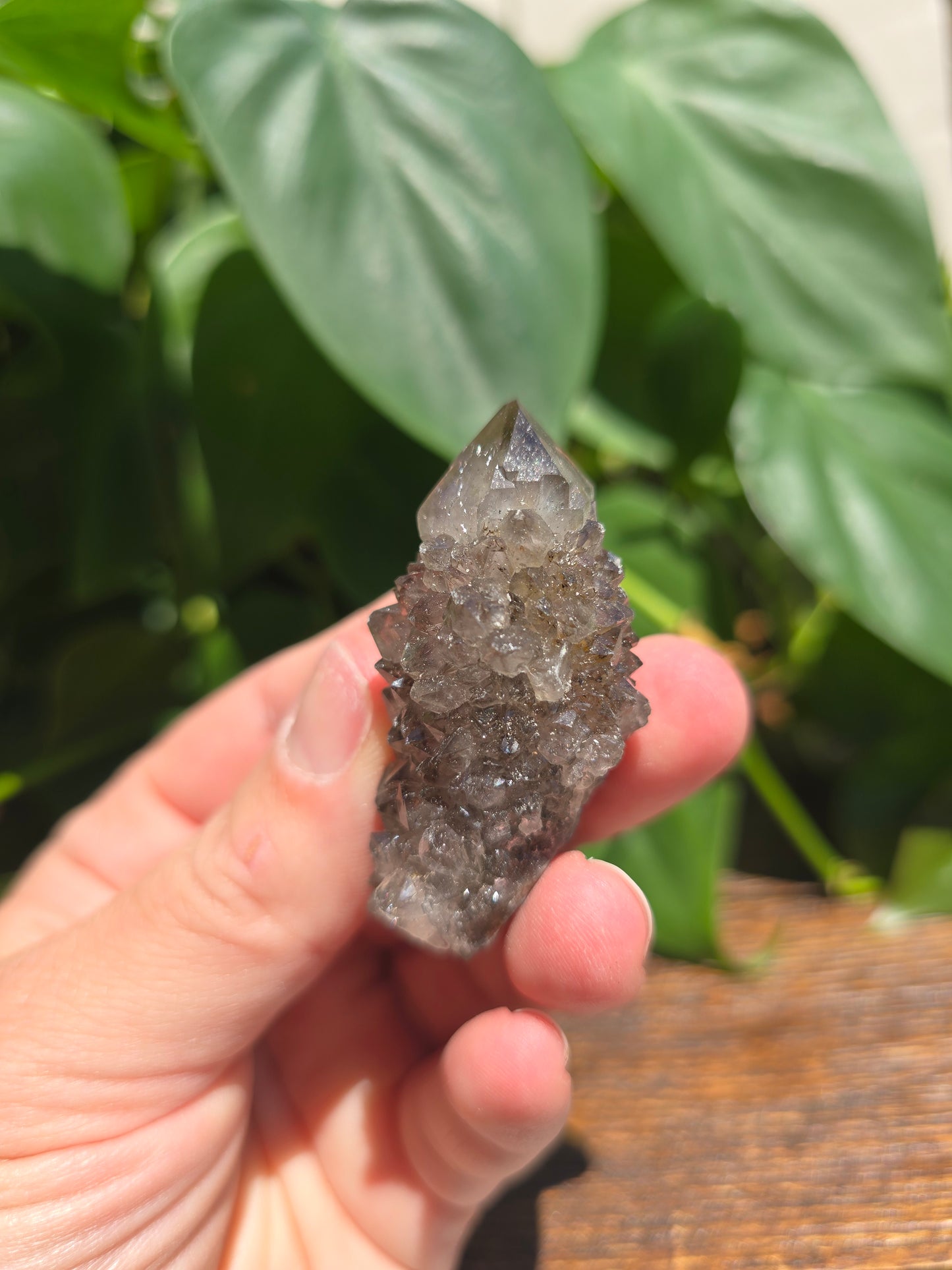 Smoky Black Spirit Quartz Specimen "A"