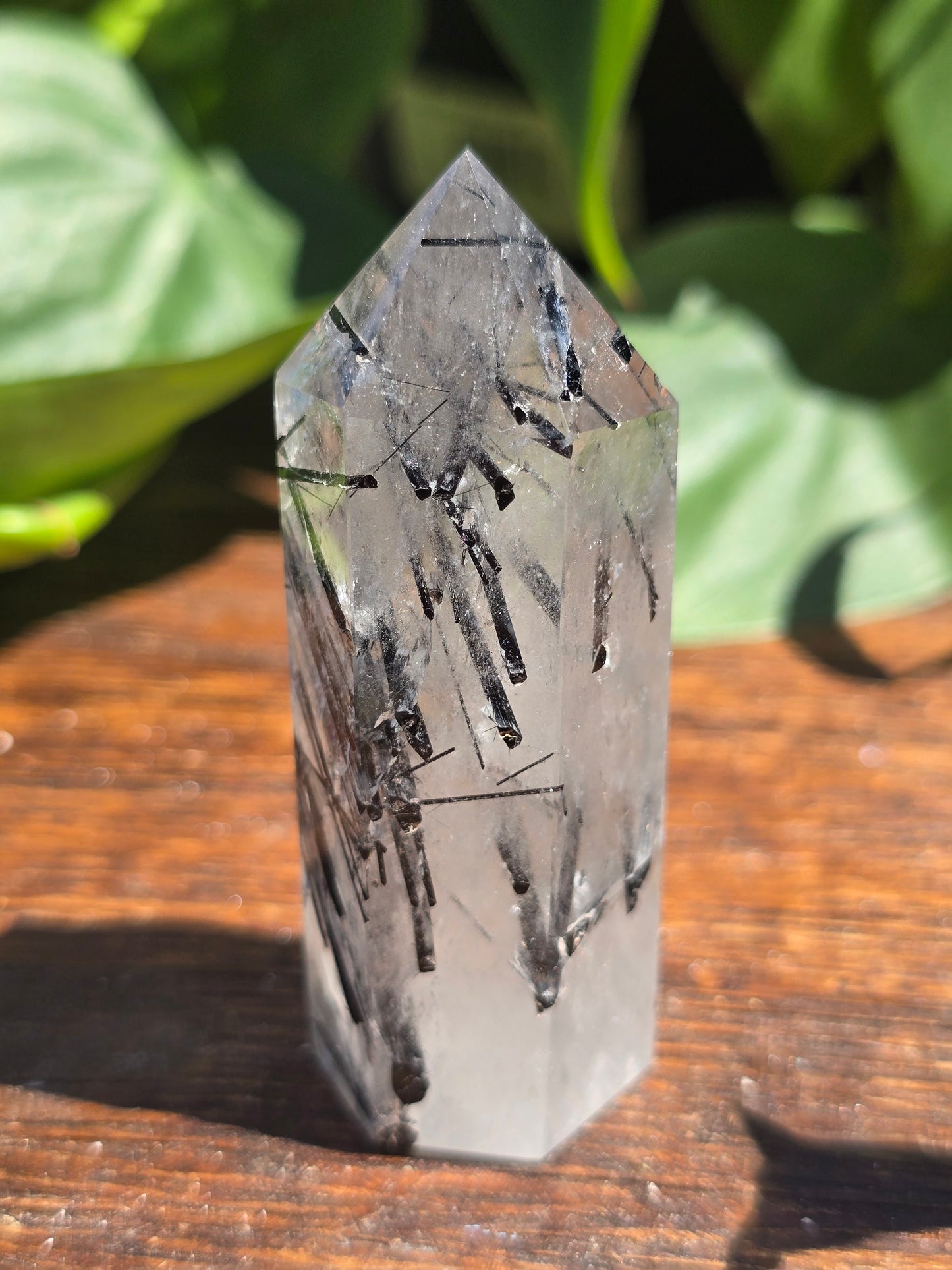Black Tourmaline in Quartz Point "A"