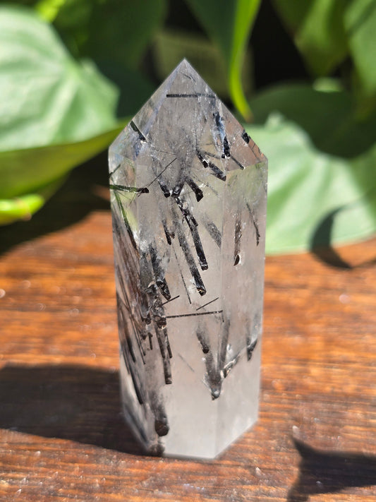 Black Tourmaline in Quartz Point "A"
