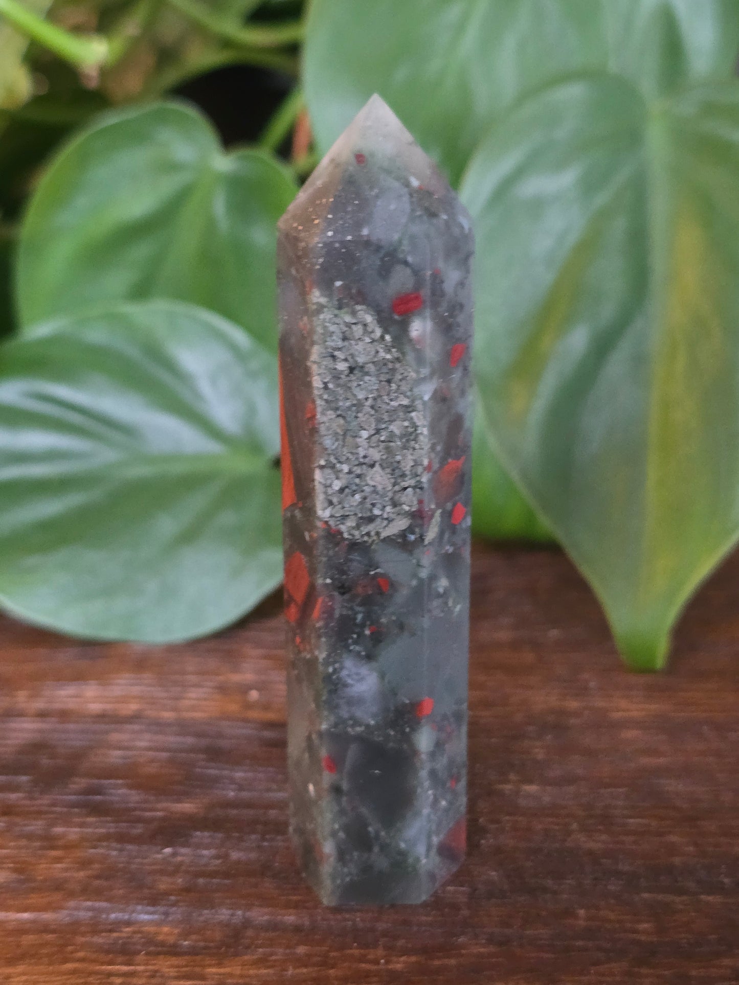 African Bloodstone Point "H"